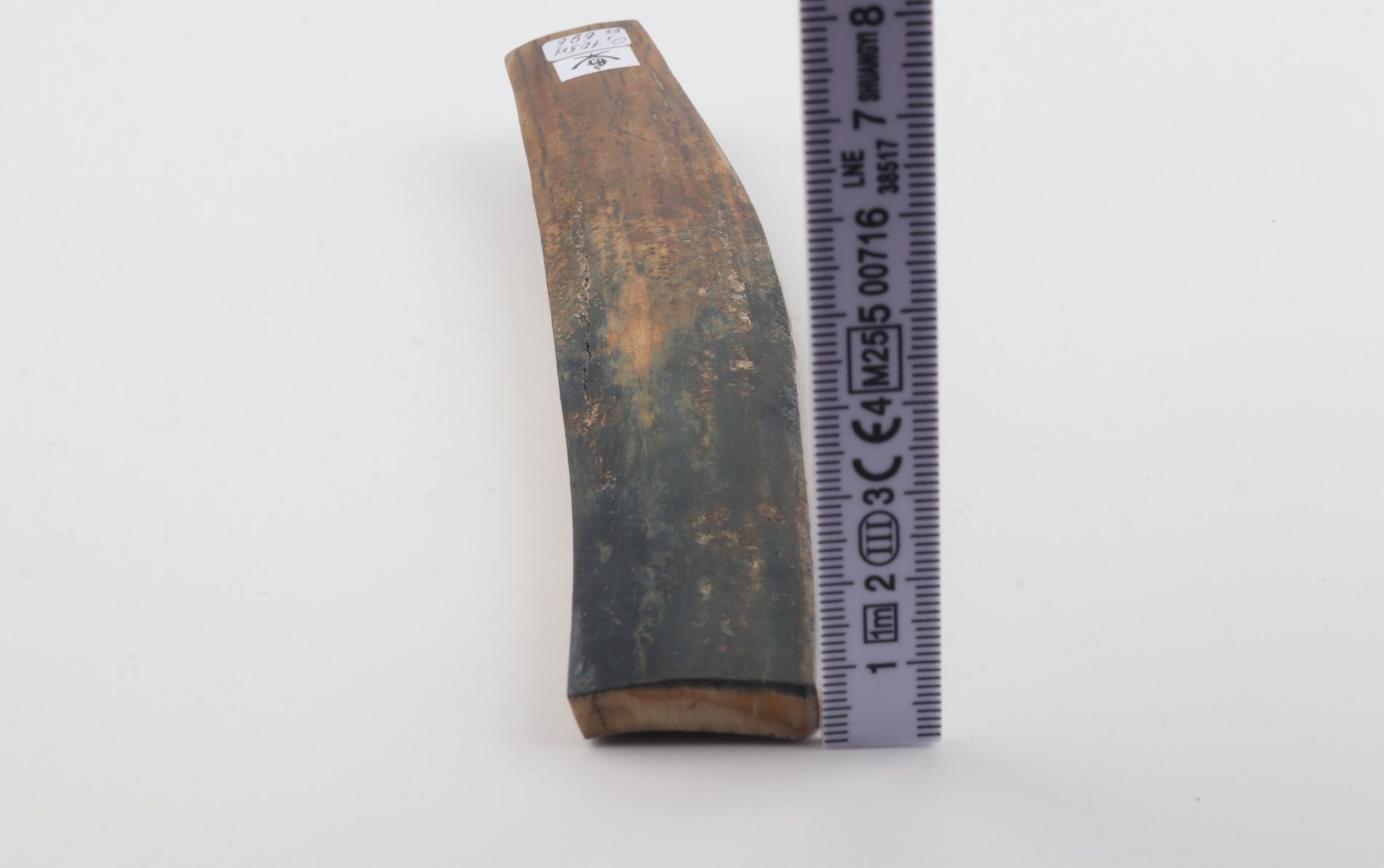 Brown-blue mammoth bark
