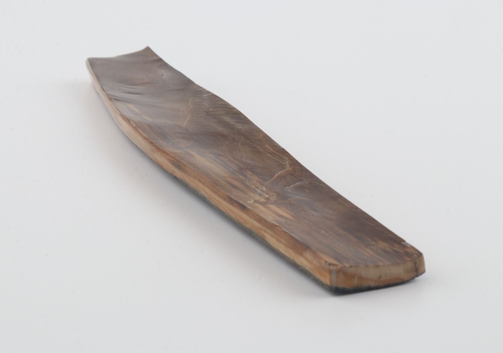 Brown-blue mammoth bark