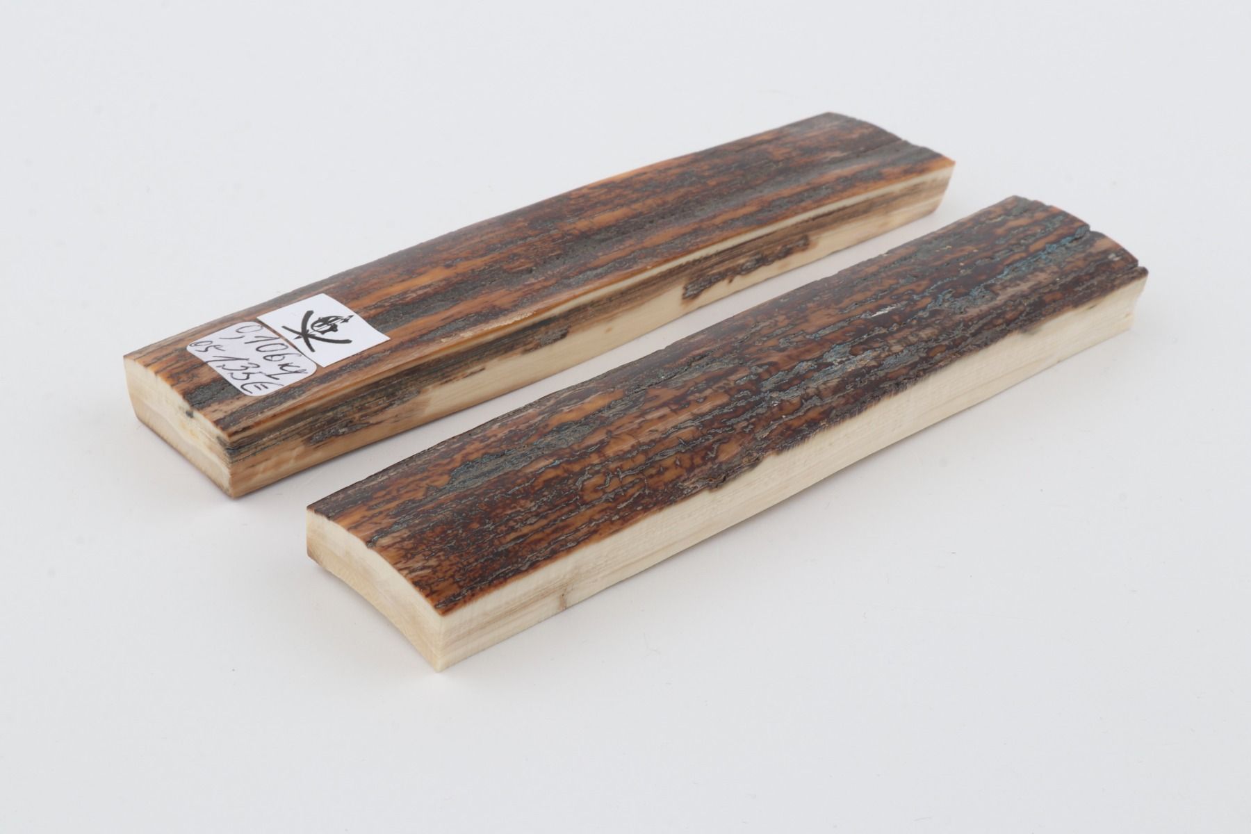 Natural mammoth bark scales