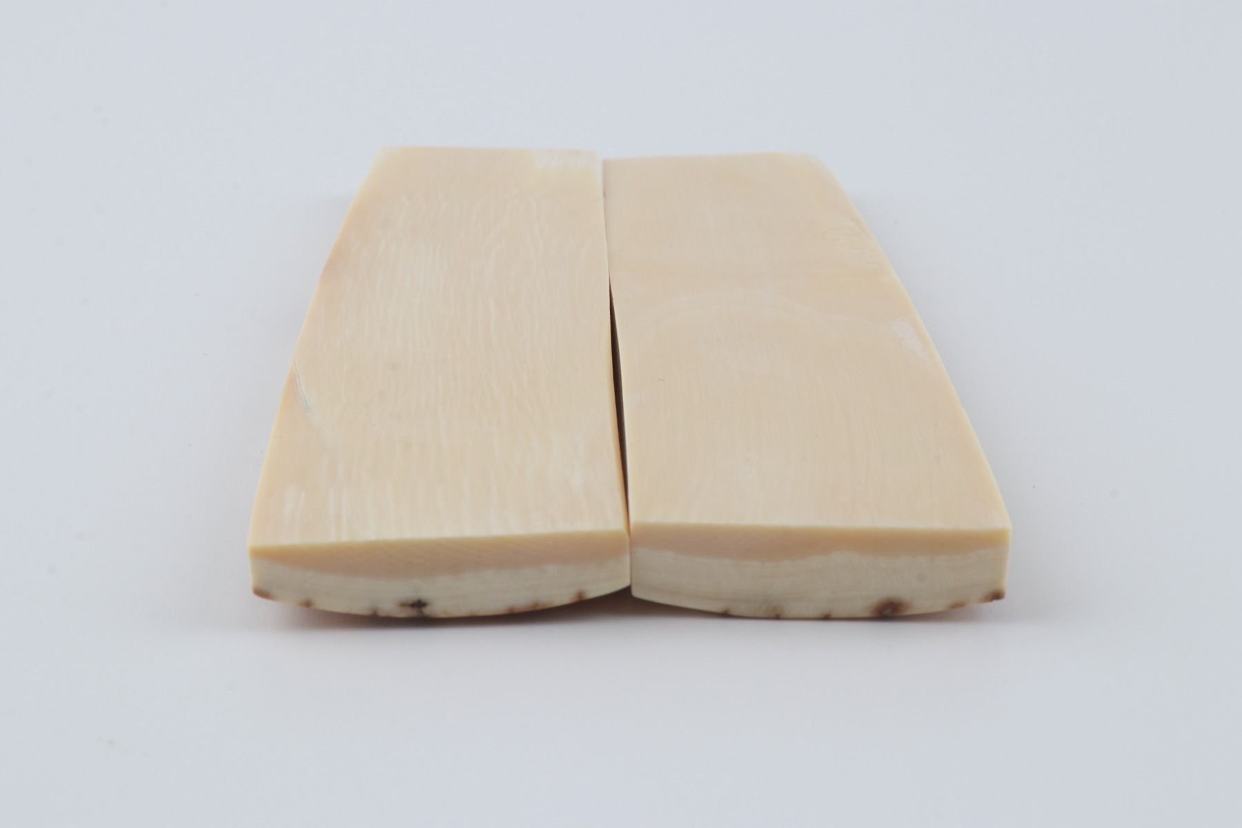 Natural mammoth bark scales