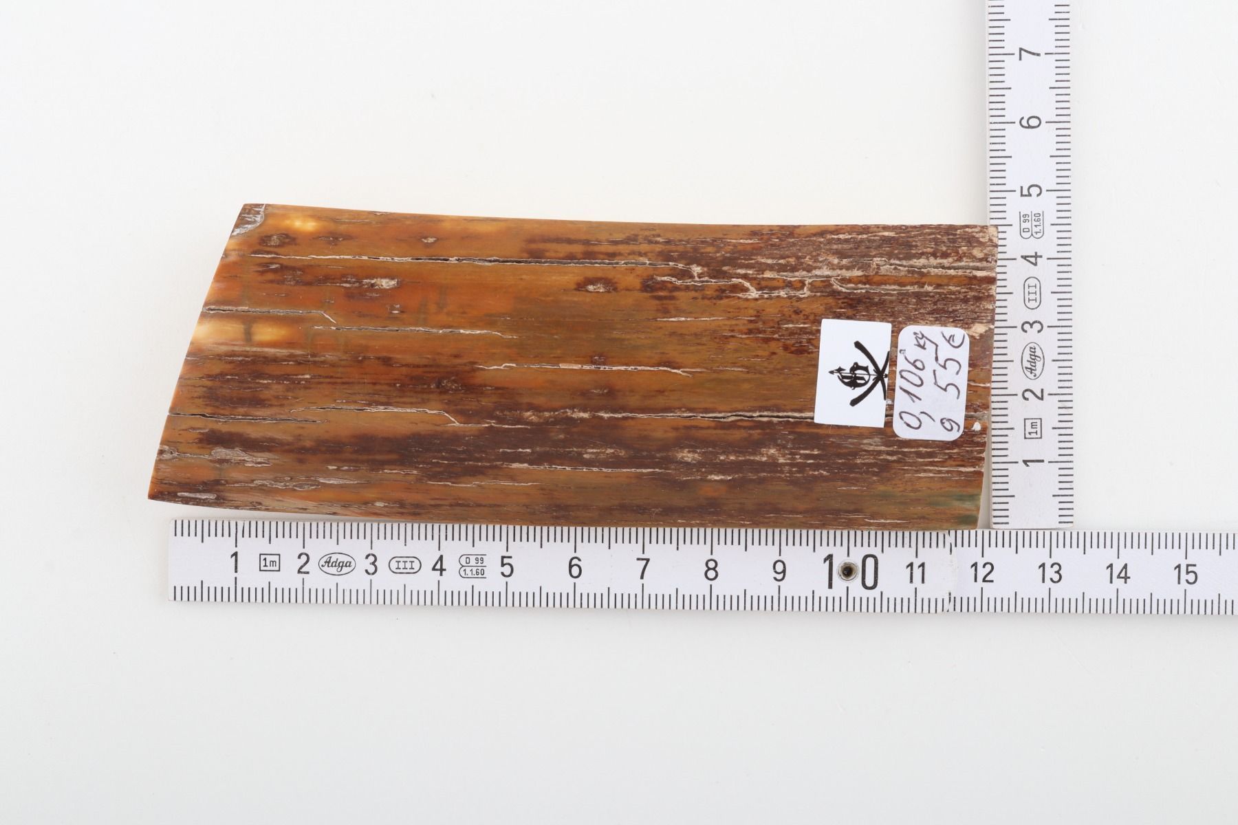 Brown mammoth bark