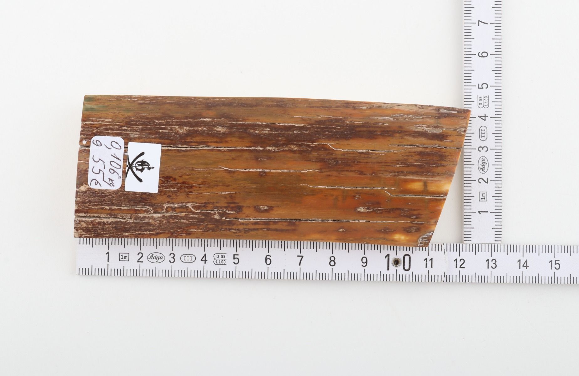 Brown mammoth bark