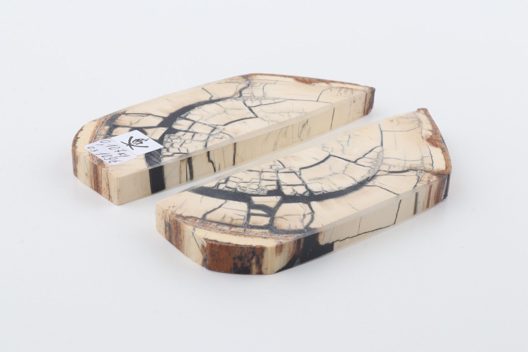 Stabilised mammoth ivory scales