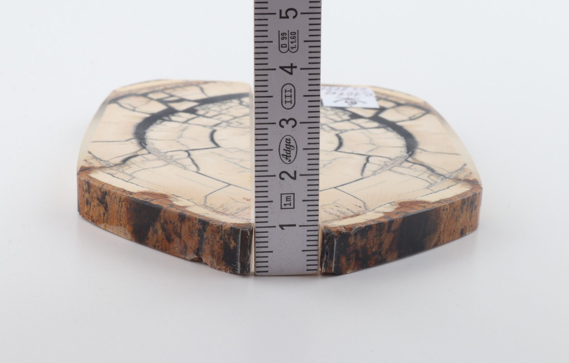 Stabilised mammoth ivory scales