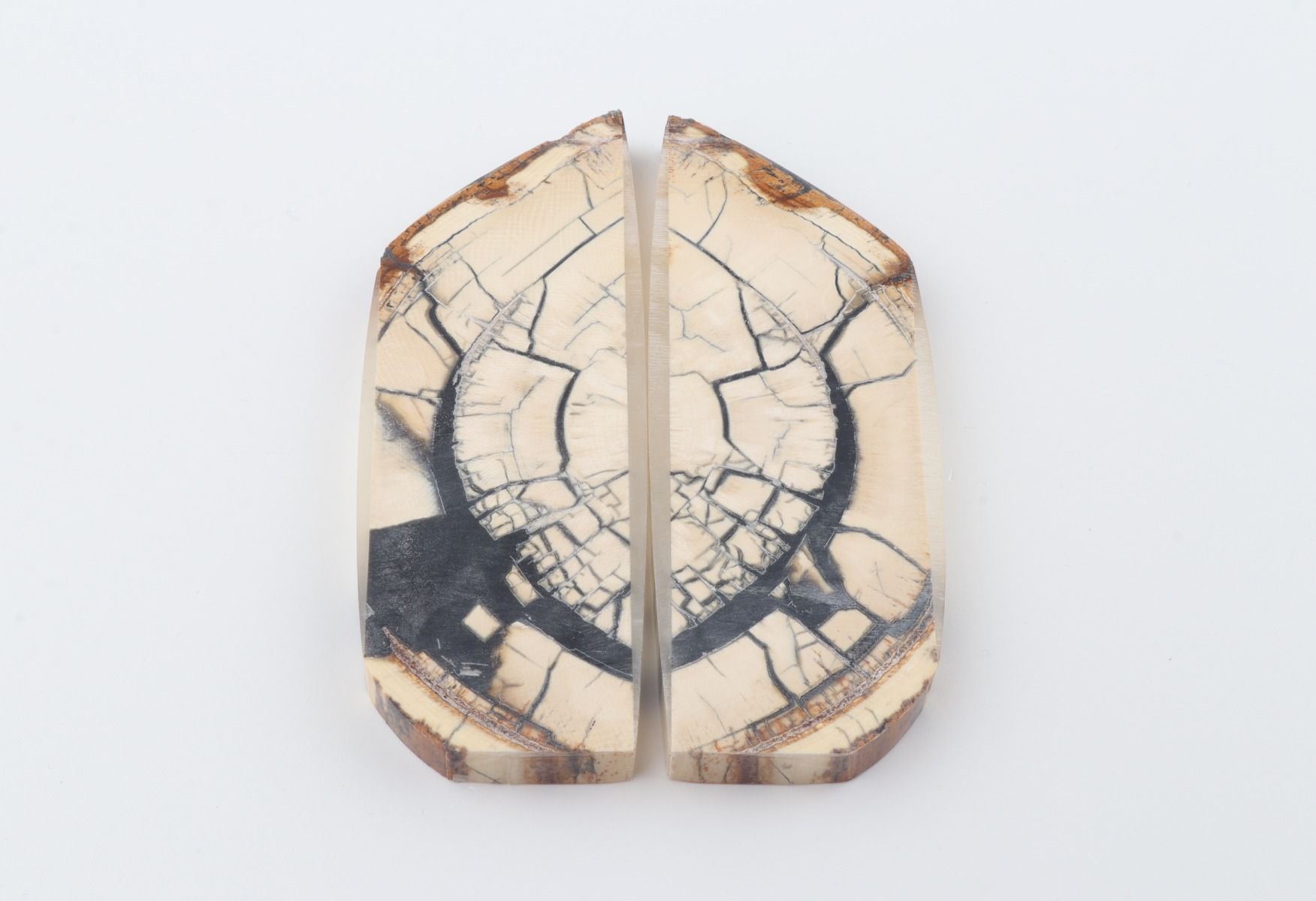 Stabilised mammoth ivory scales