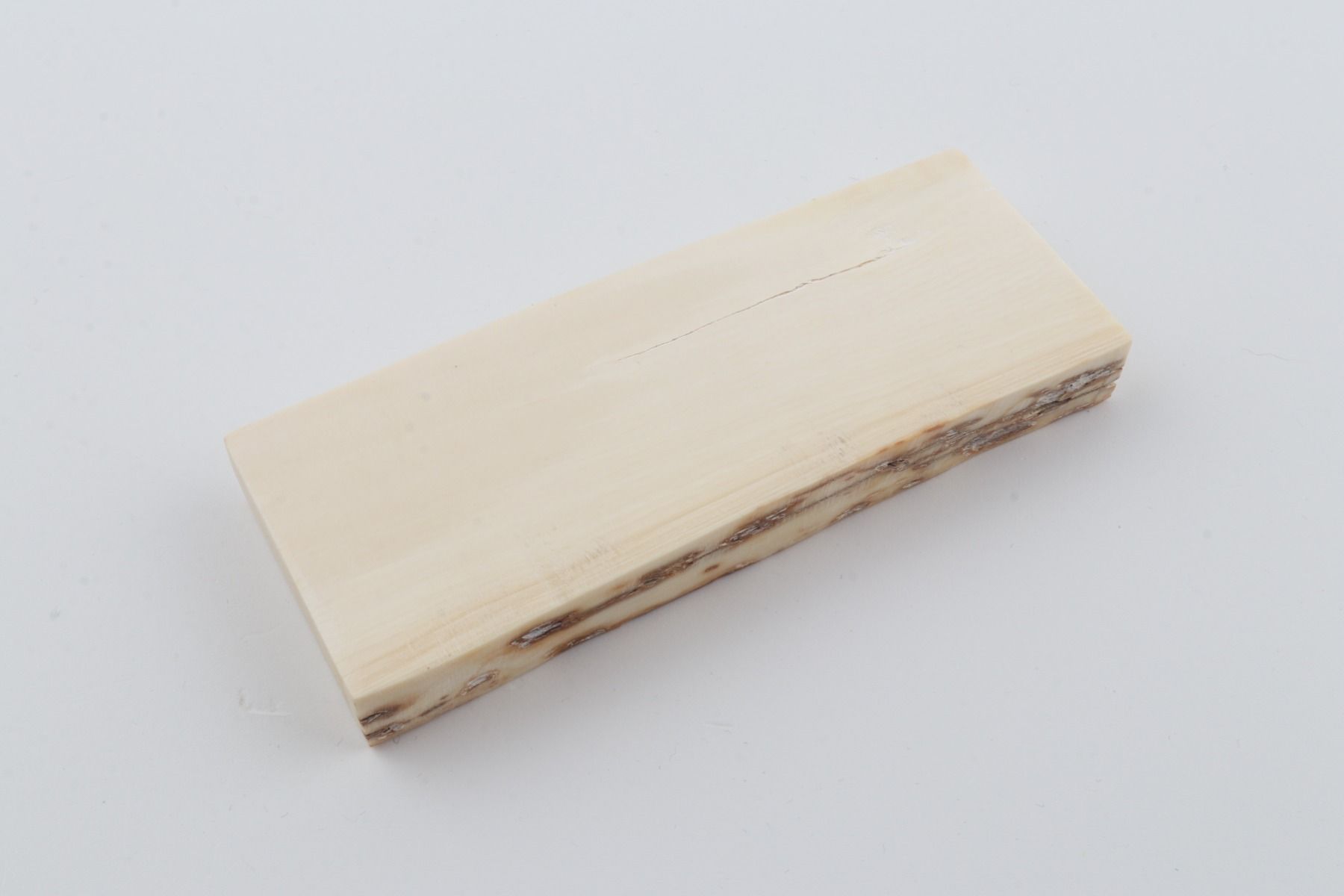 White mammoth ivory segment