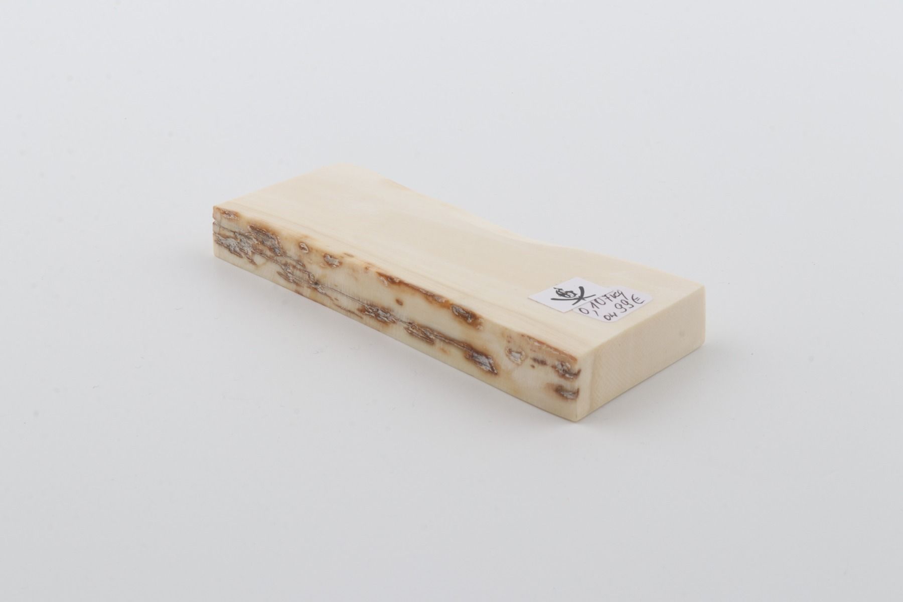 White mammoth ivory segment