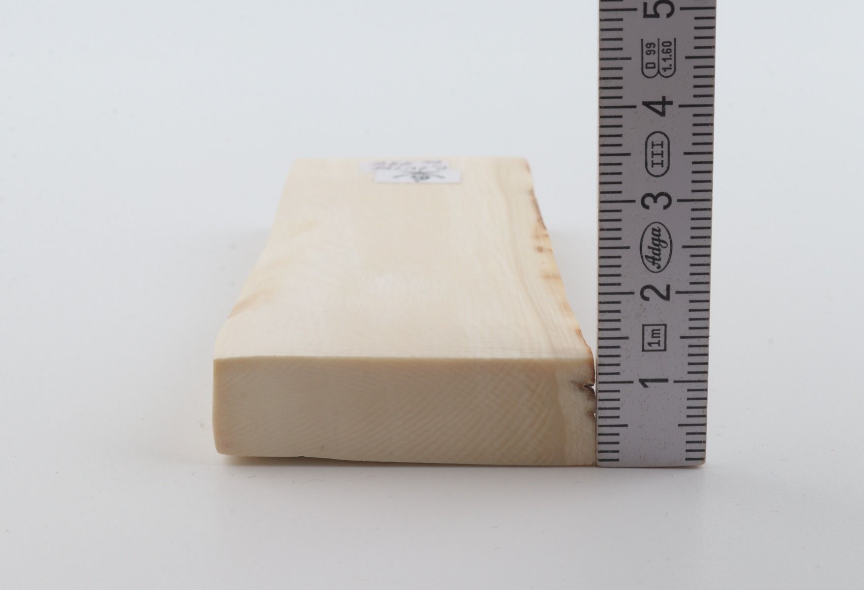 White mammoth ivory segment