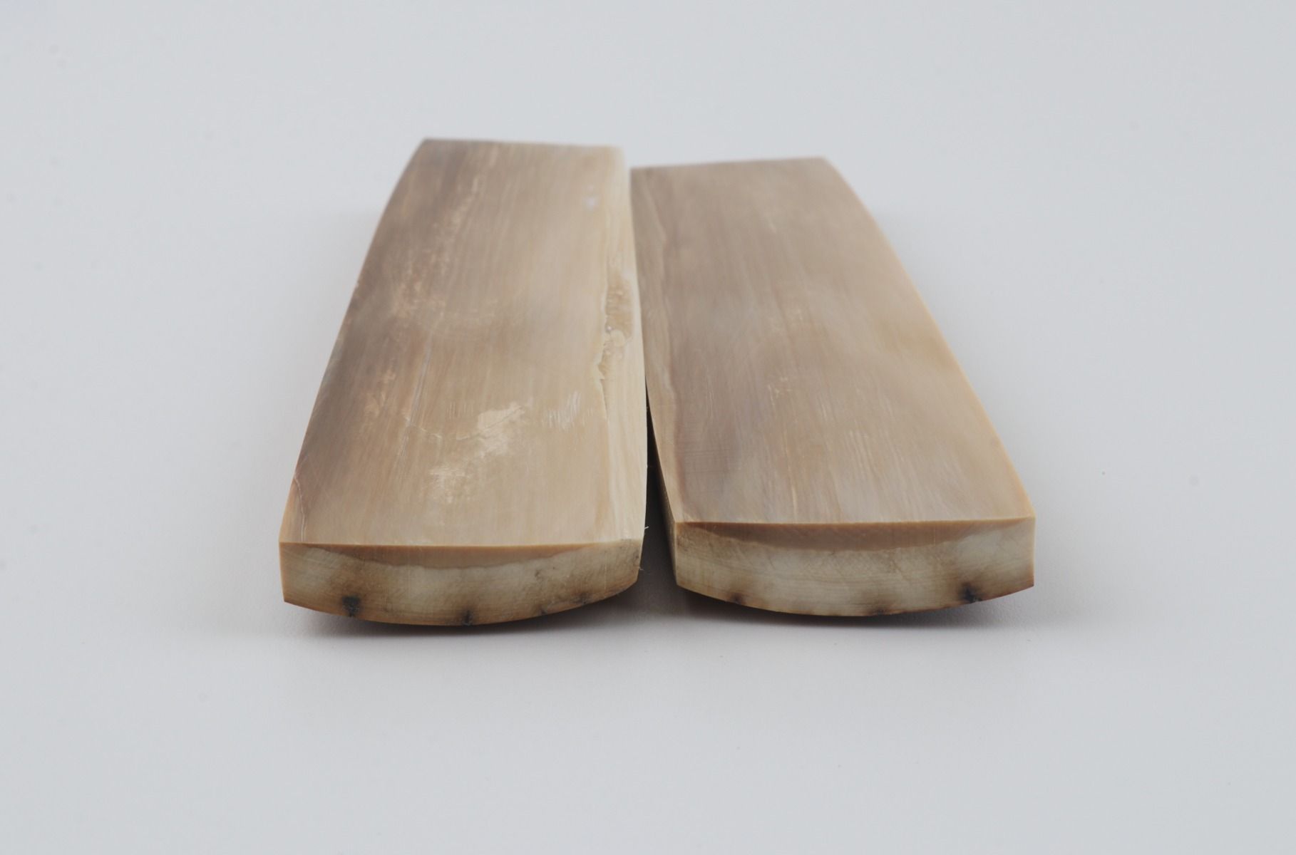 Natural mammoth bark scales
