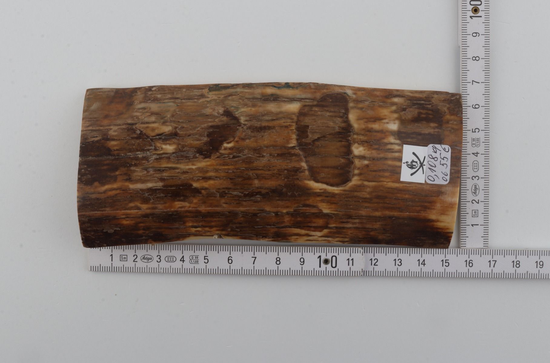 Brown-beige mammoth bark