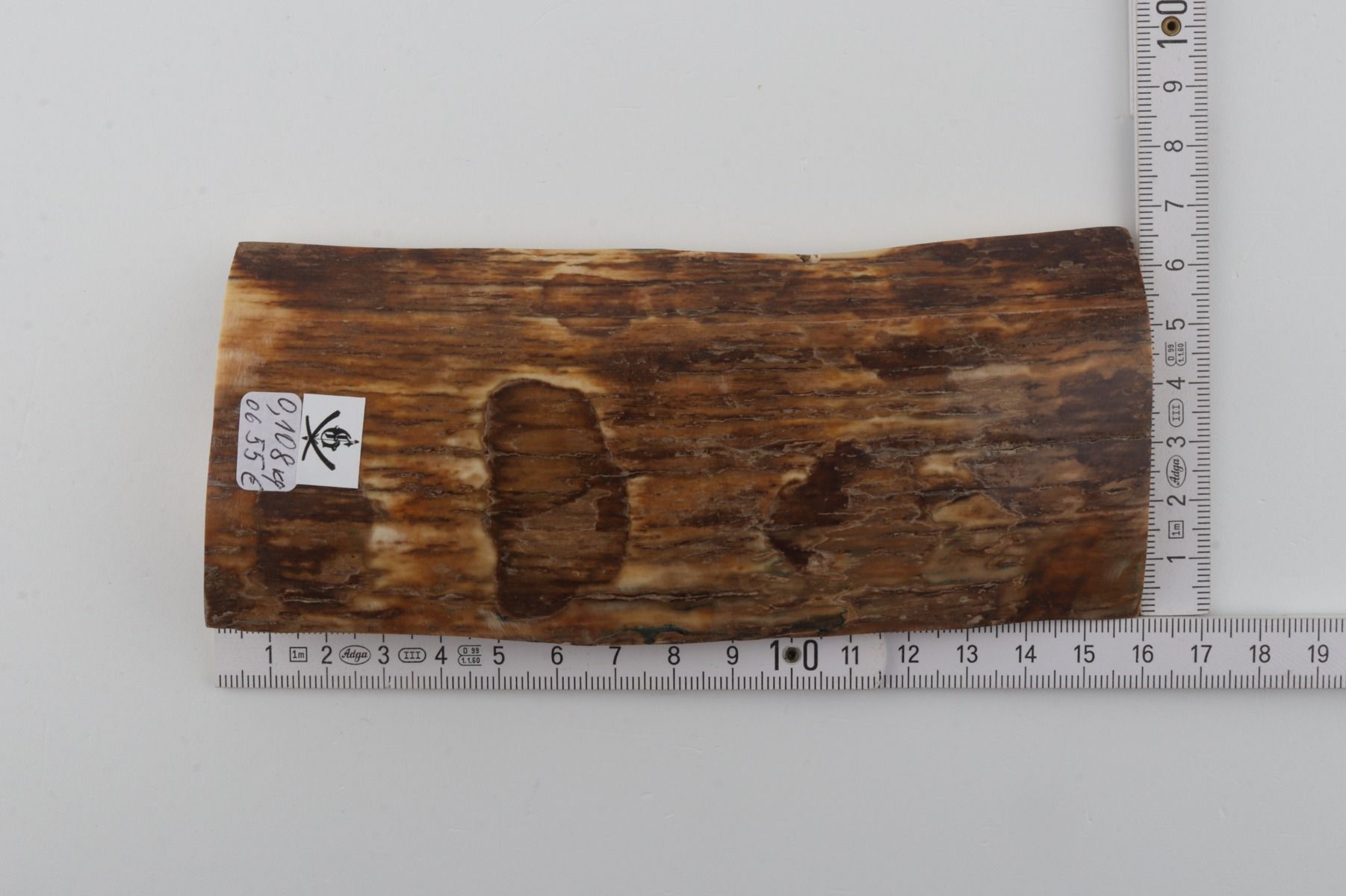 Brown-beige mammoth bark
