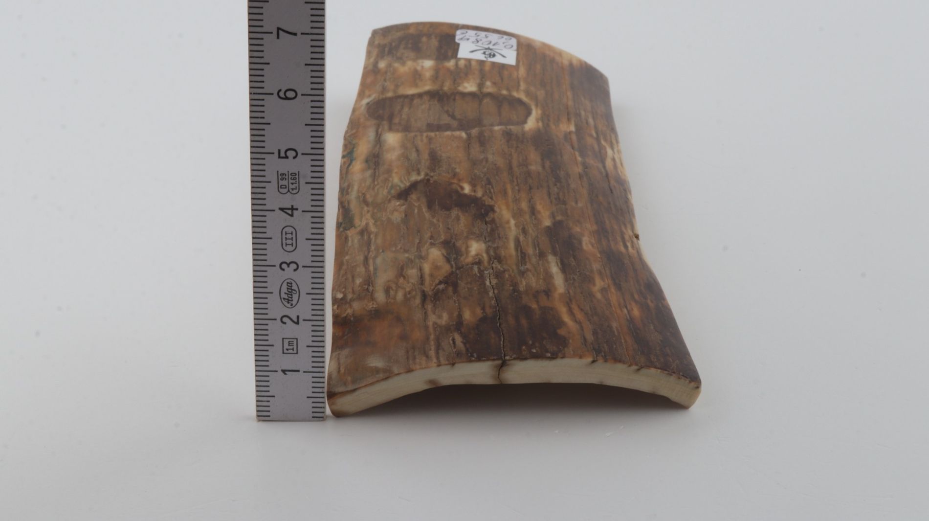 Brown-beige mammoth bark