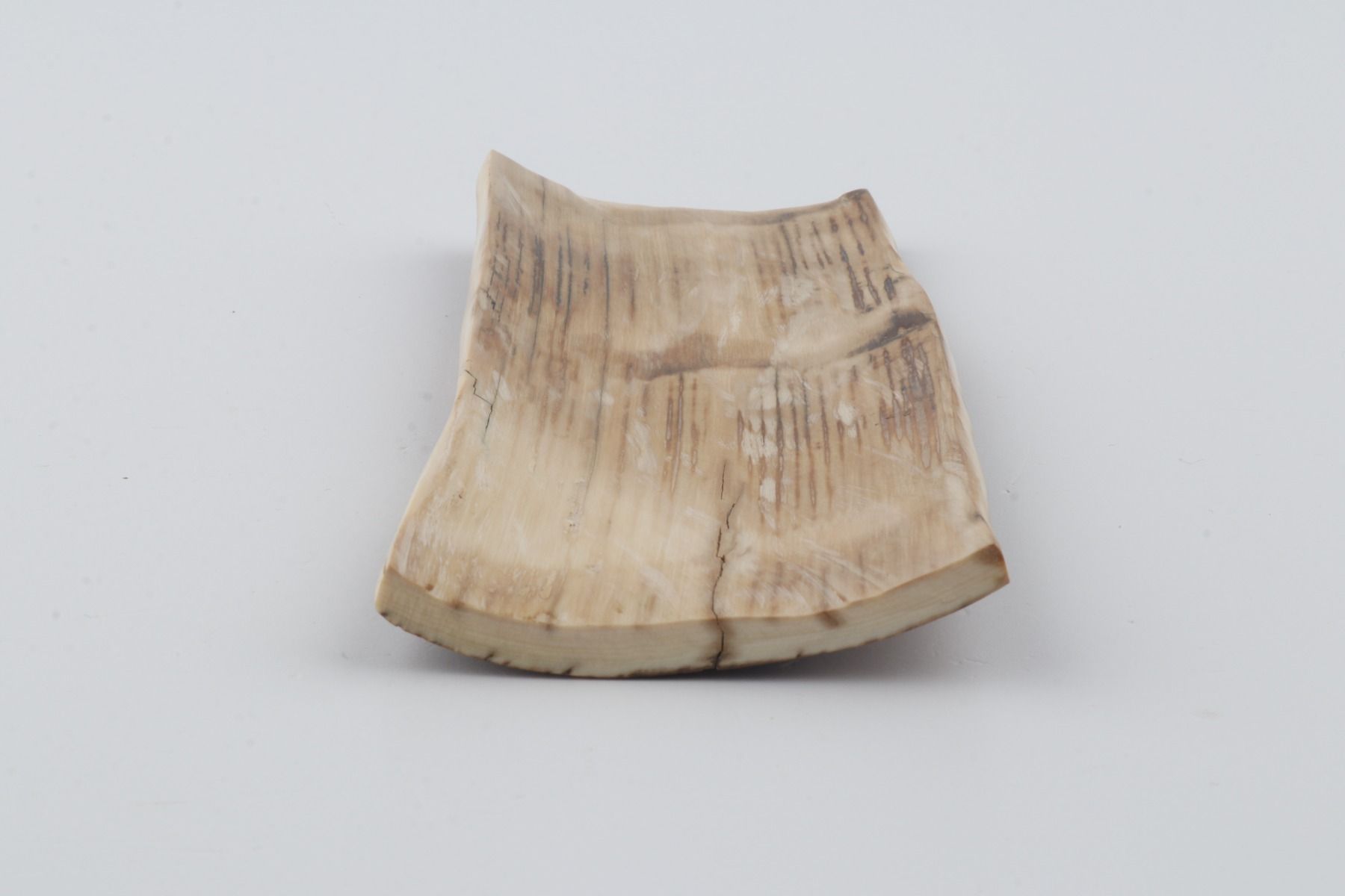 Brown-beige mammoth bark