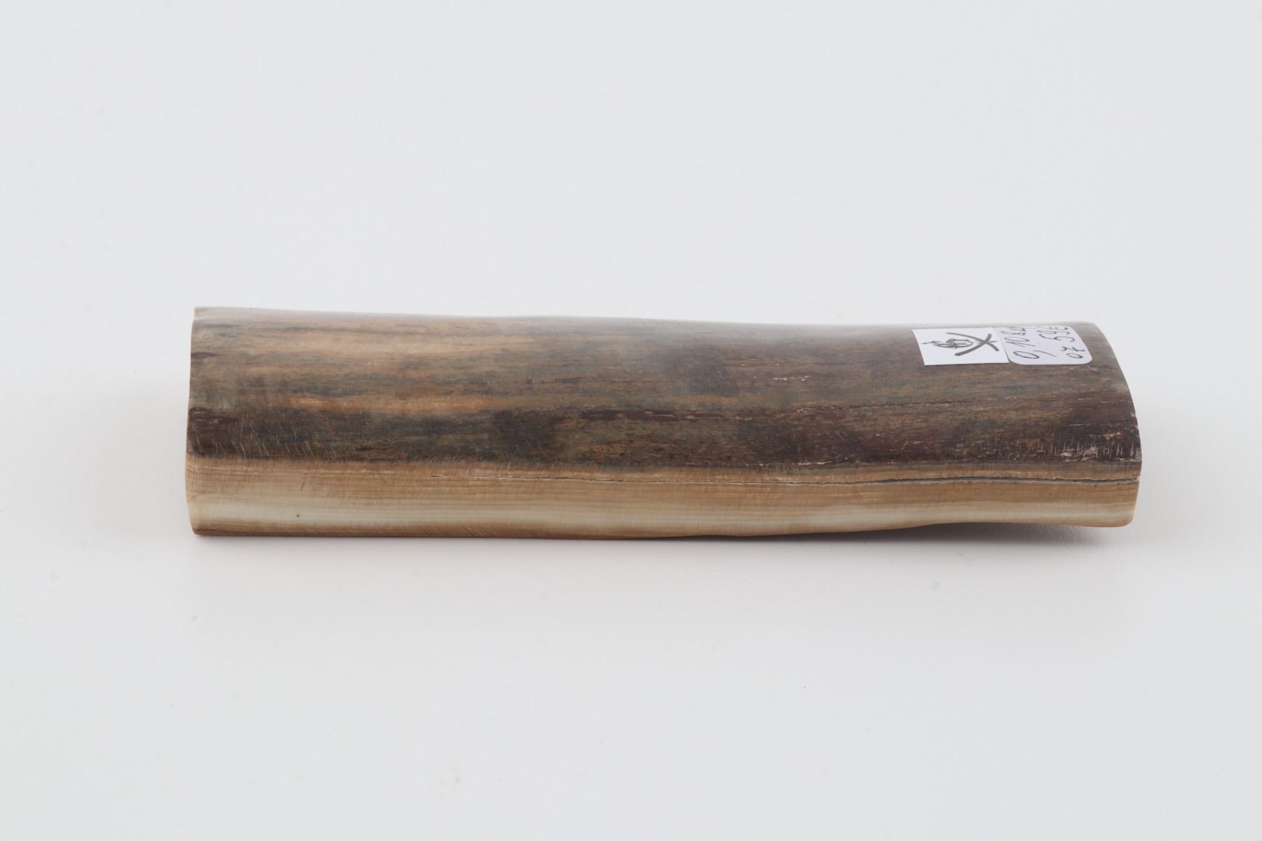Green mammoth bark