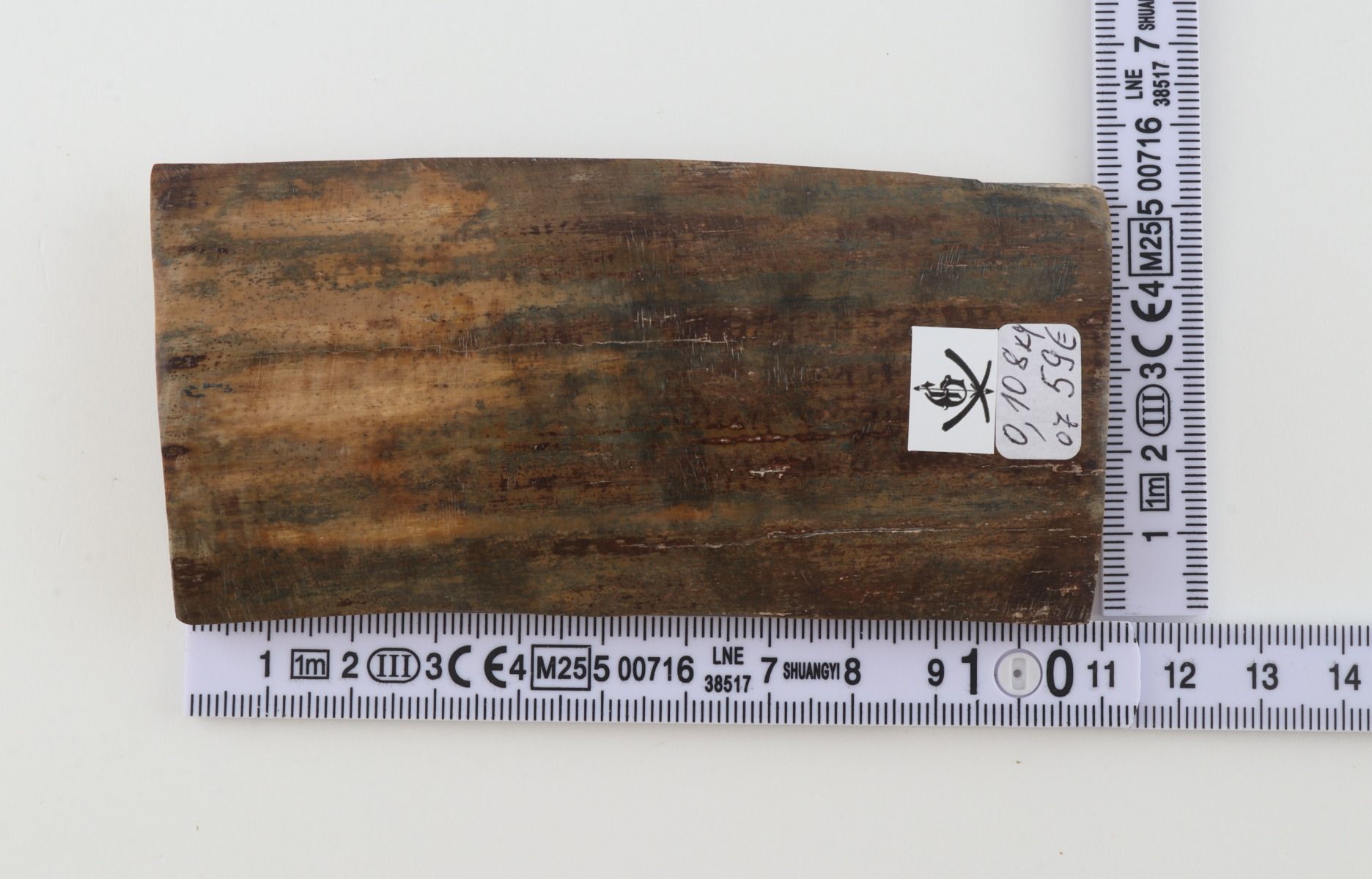 Green mammoth bark