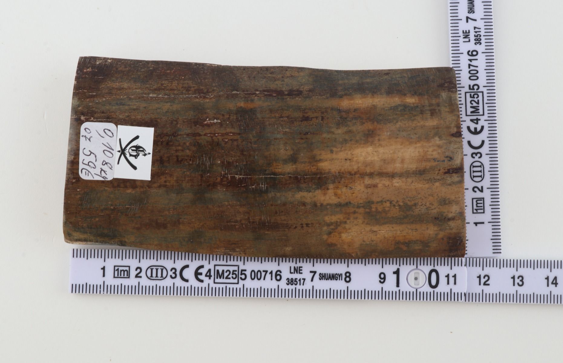 Green mammoth bark