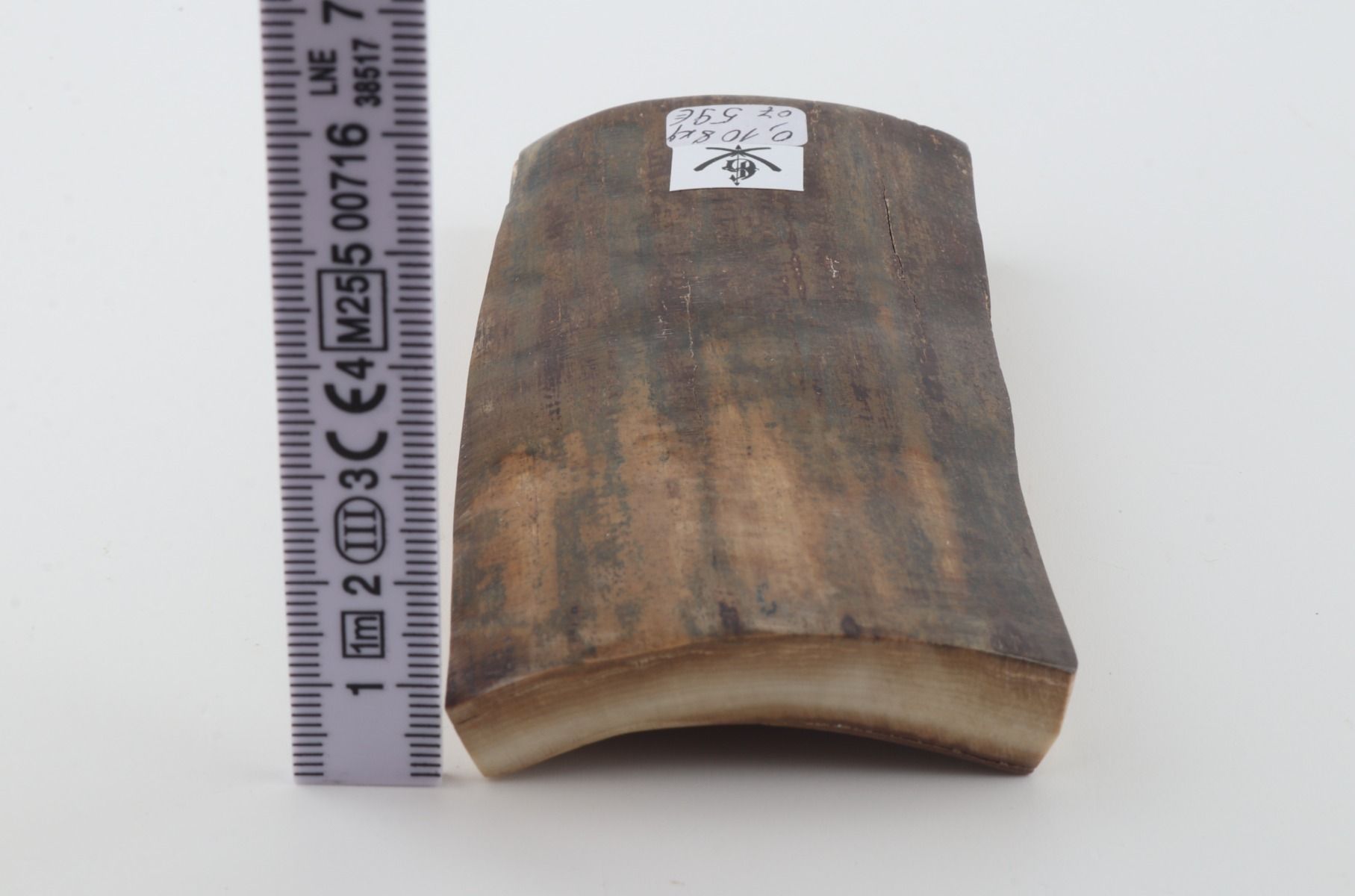 Green mammoth bark