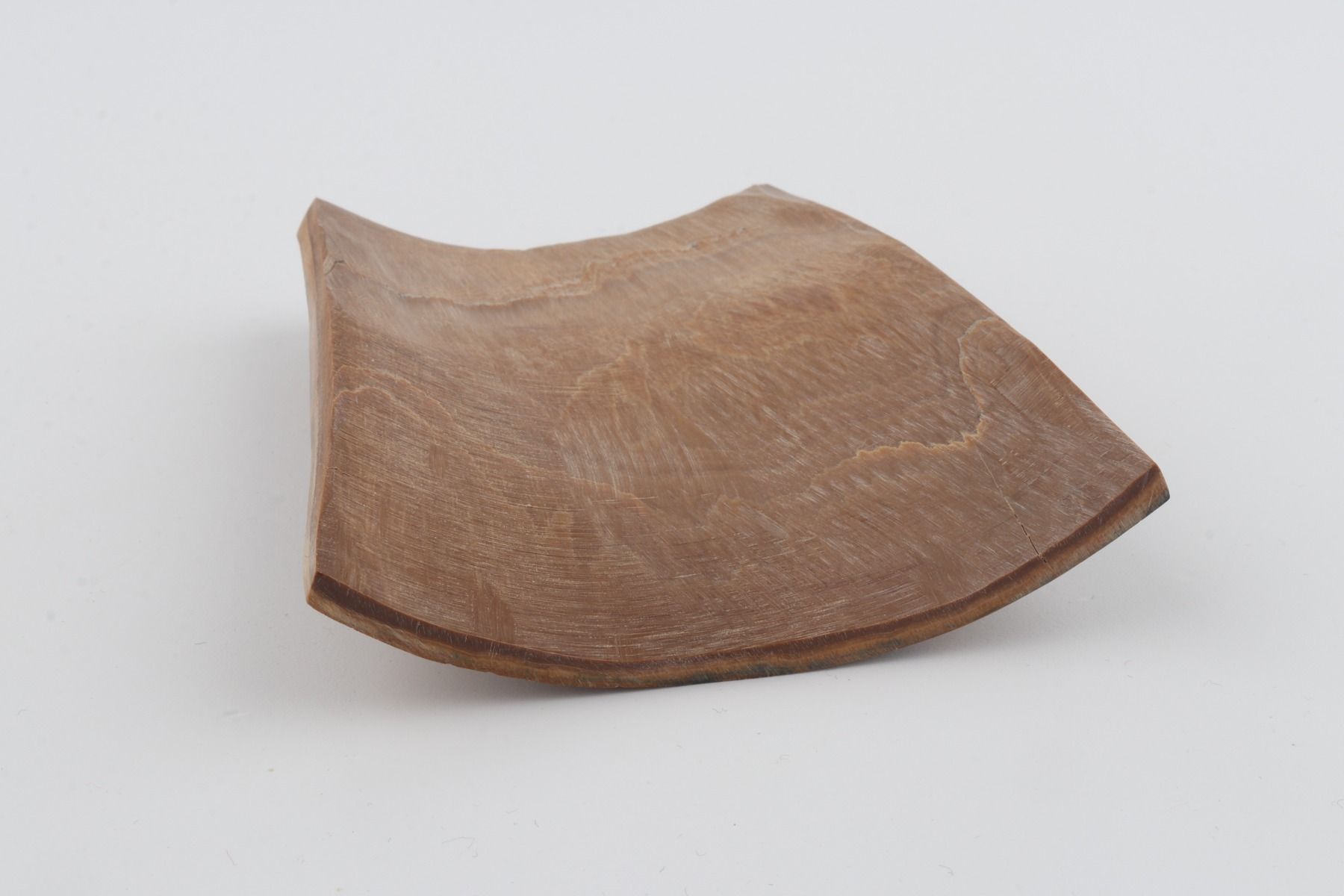 Blue-mustard mammoth bark