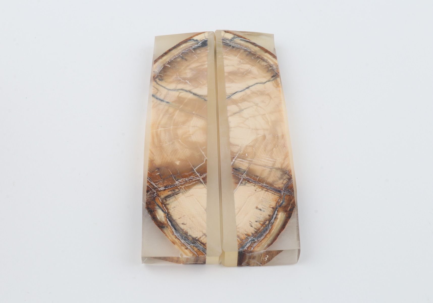 Stabilized mammoth ivory scales