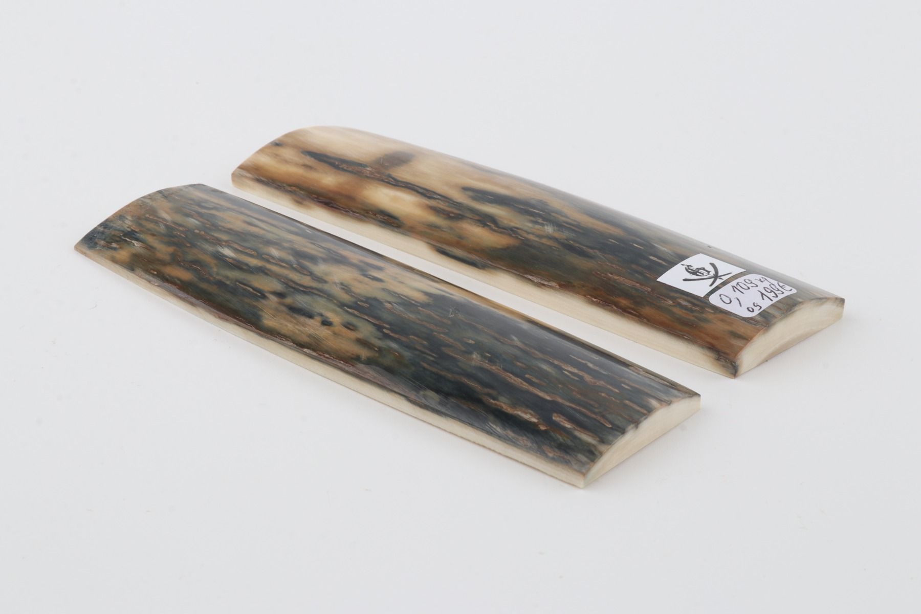 Natural mammoth bark scales