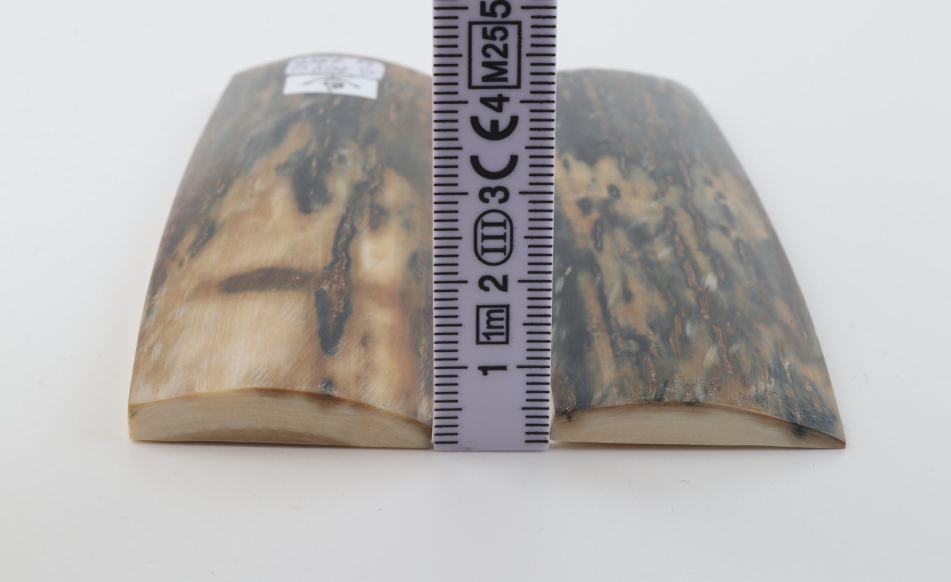 Natural mammoth bark scales