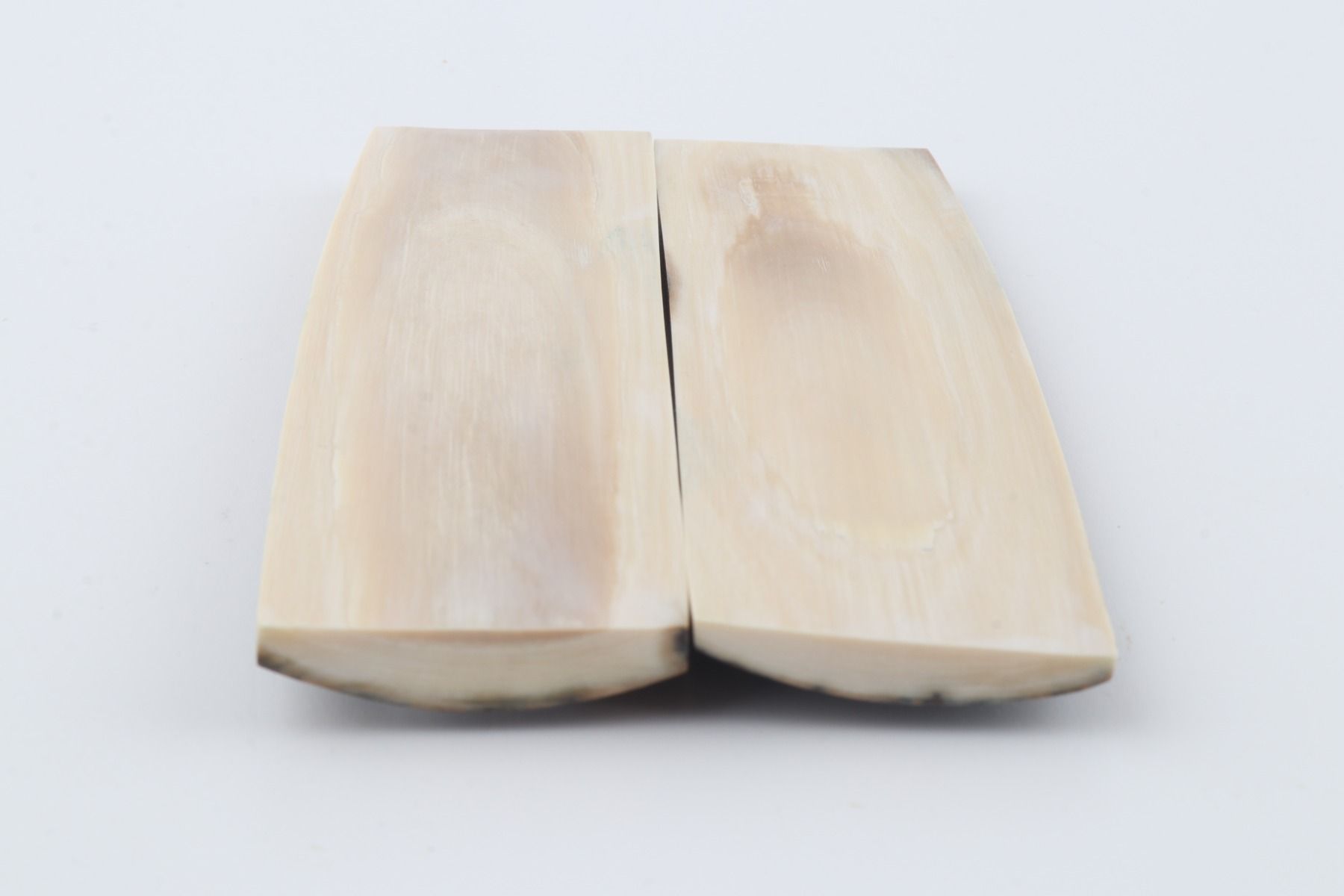 Natural mammoth bark scales