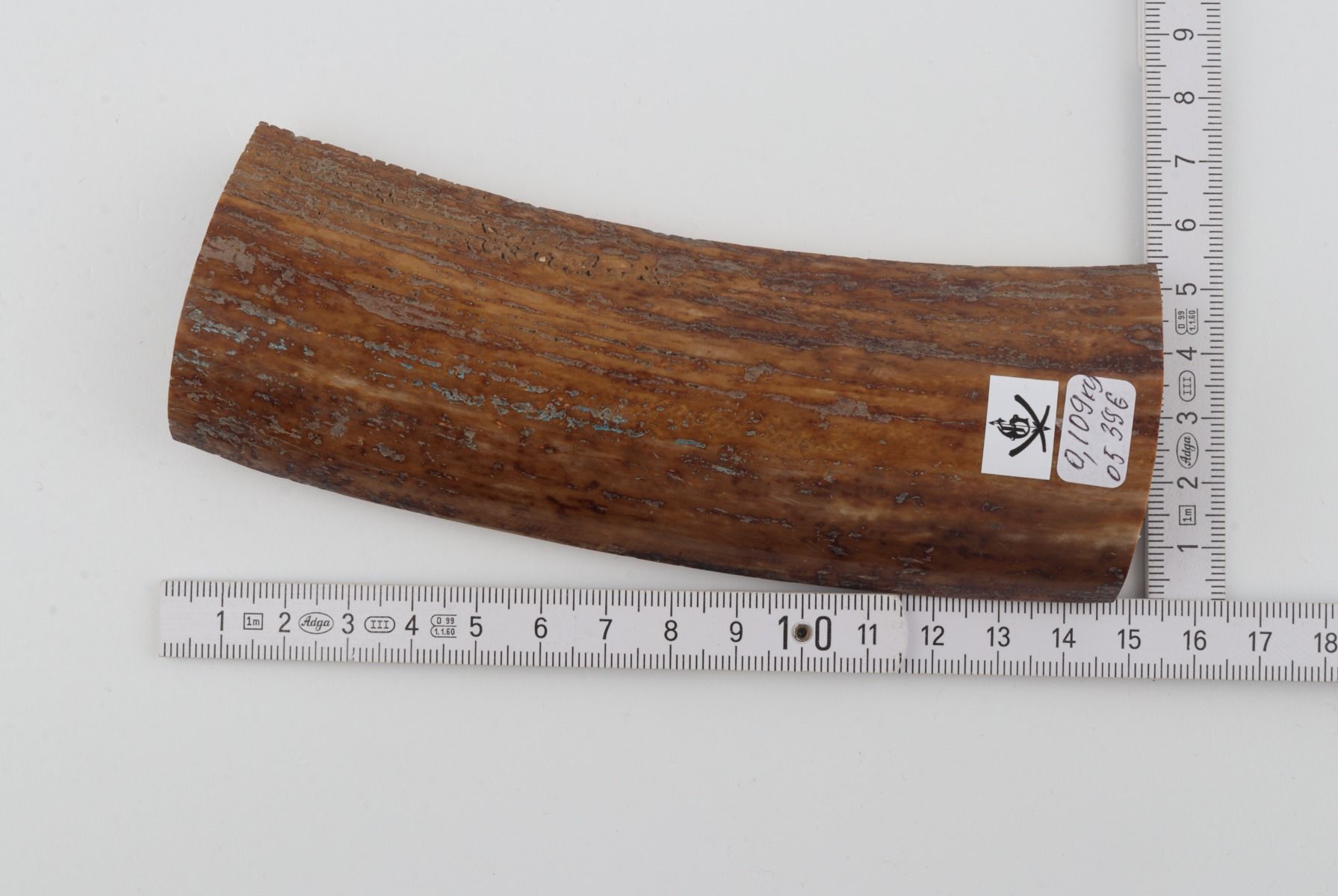 Brown-mustard mammoth bark