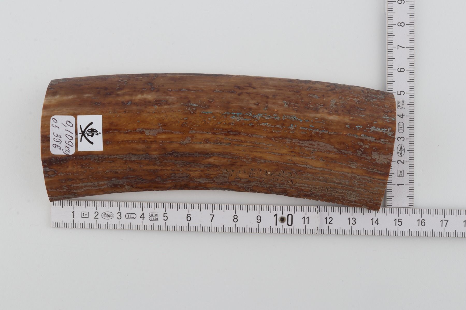 Brown-mustard mammoth bark