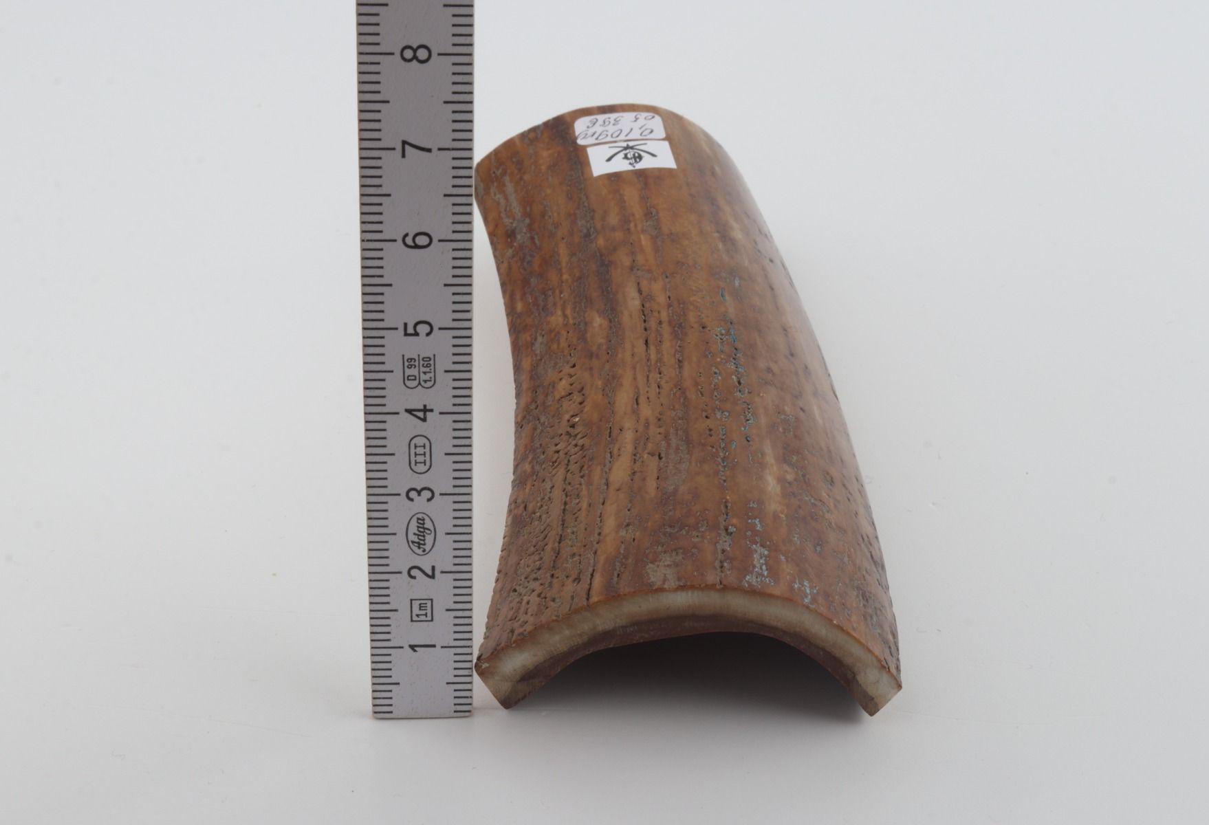 Brown-mustard mammoth bark