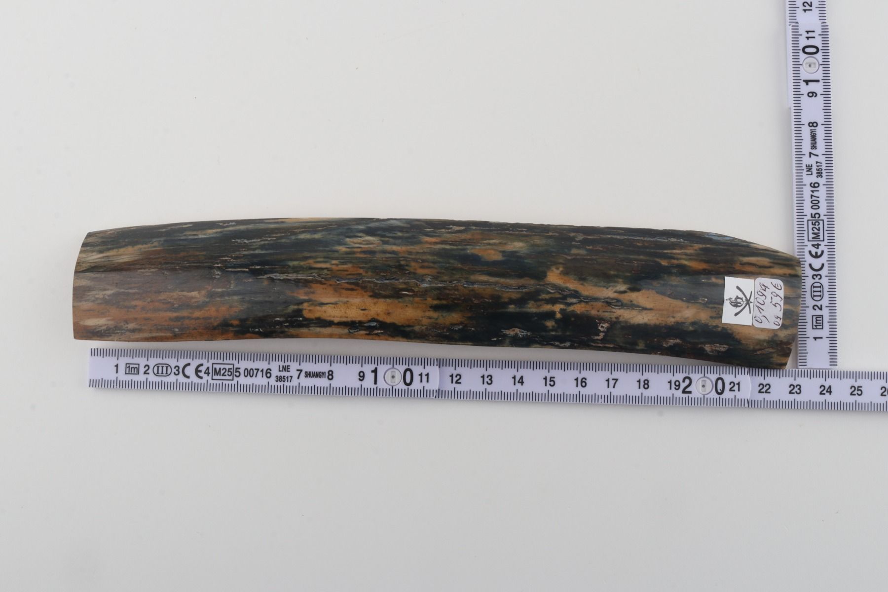 Blue-mustard mammoth bark