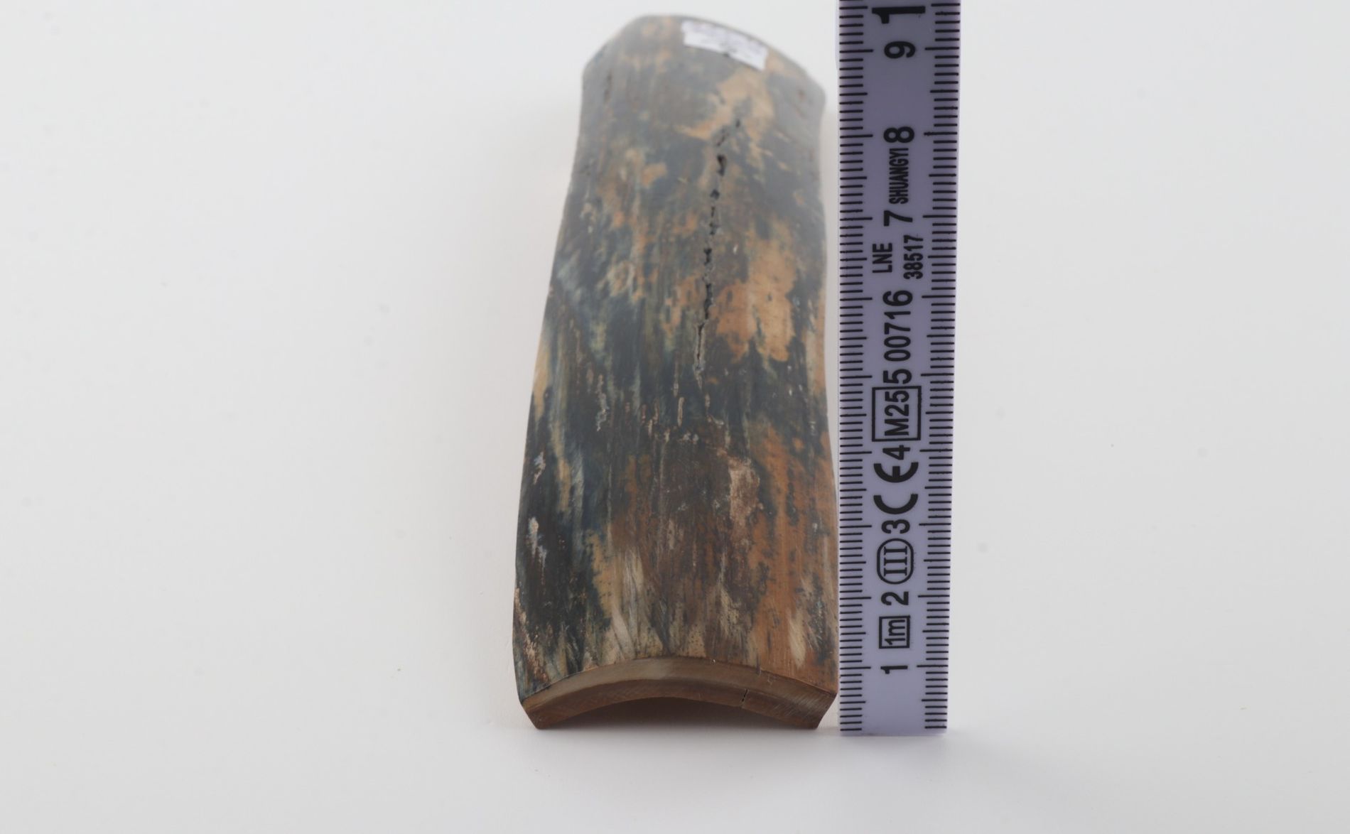 Blue-mustard mammoth bark