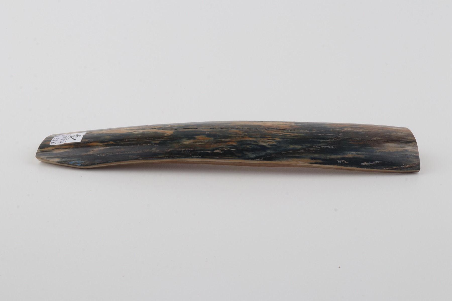 Blue-mustard mammoth bark