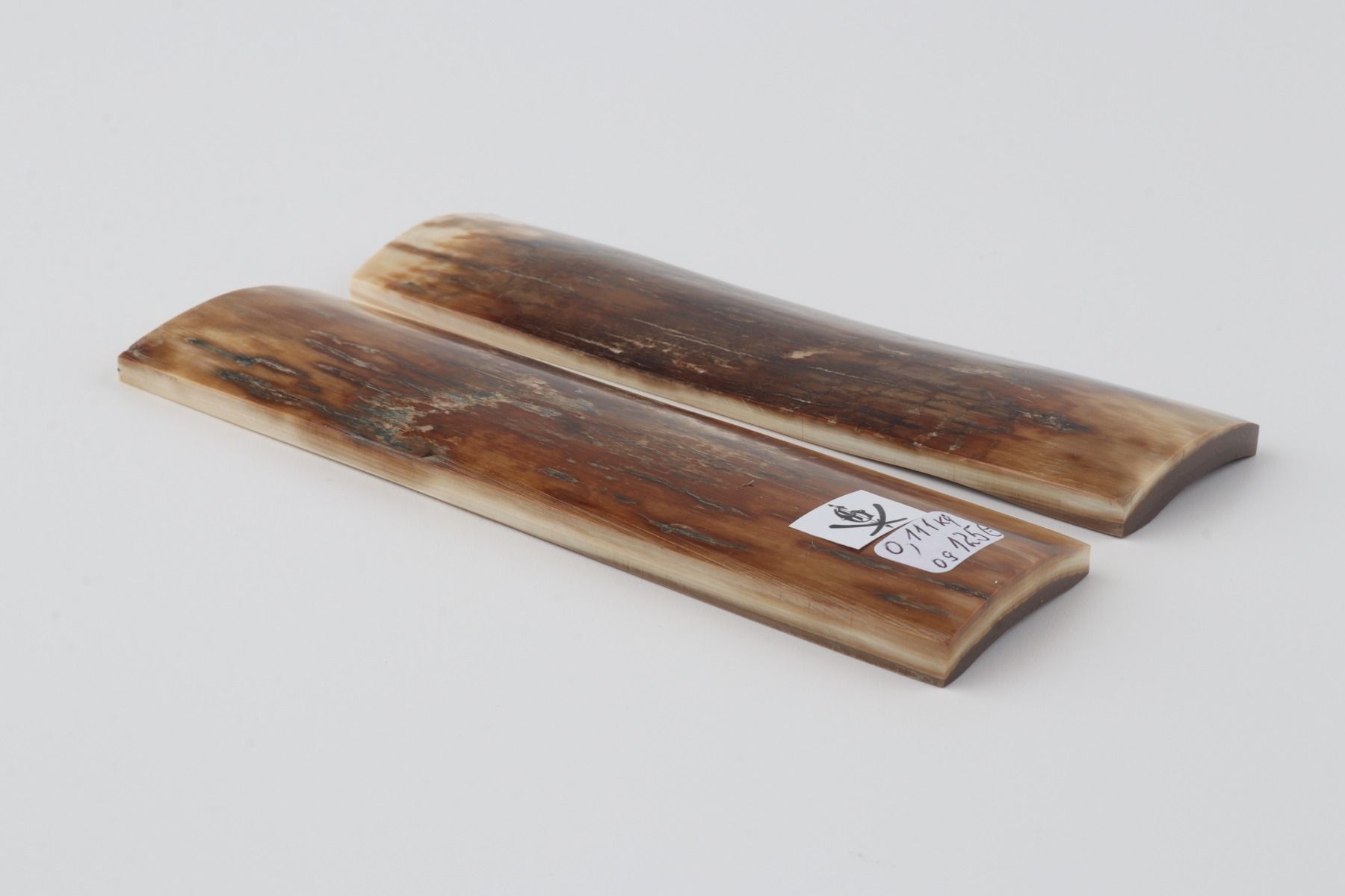 Natural mammoth bark scales