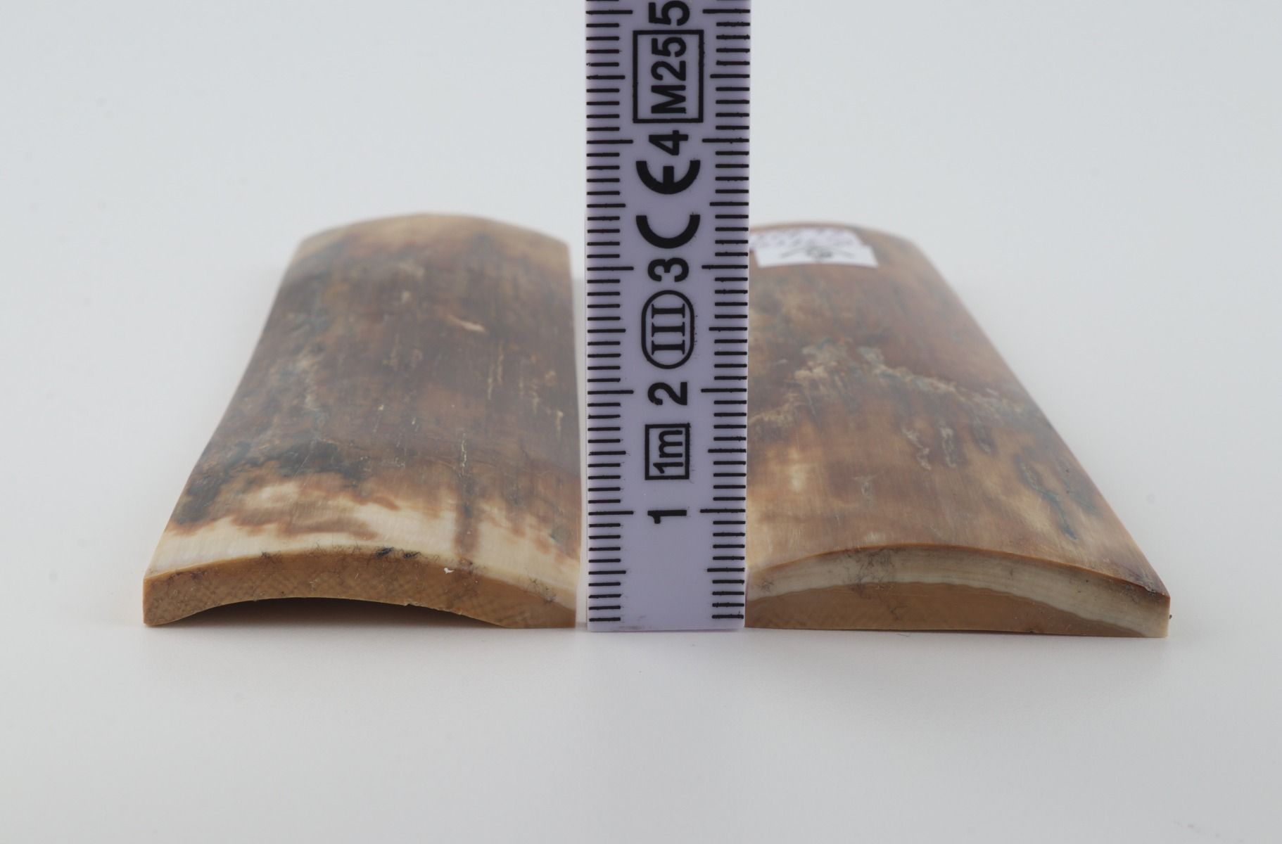 Natural mammoth bark scales