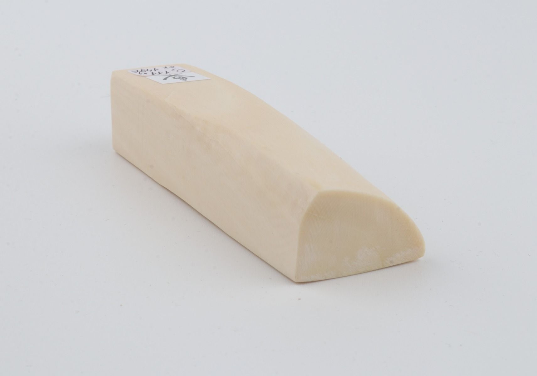 White mammoth ivory segment