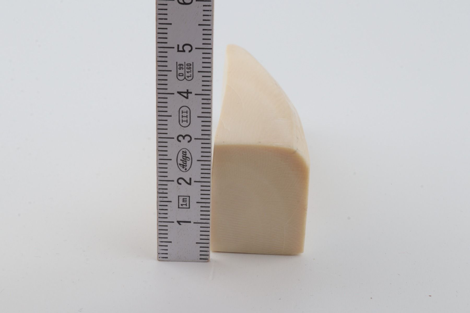 White mammoth ivory segment