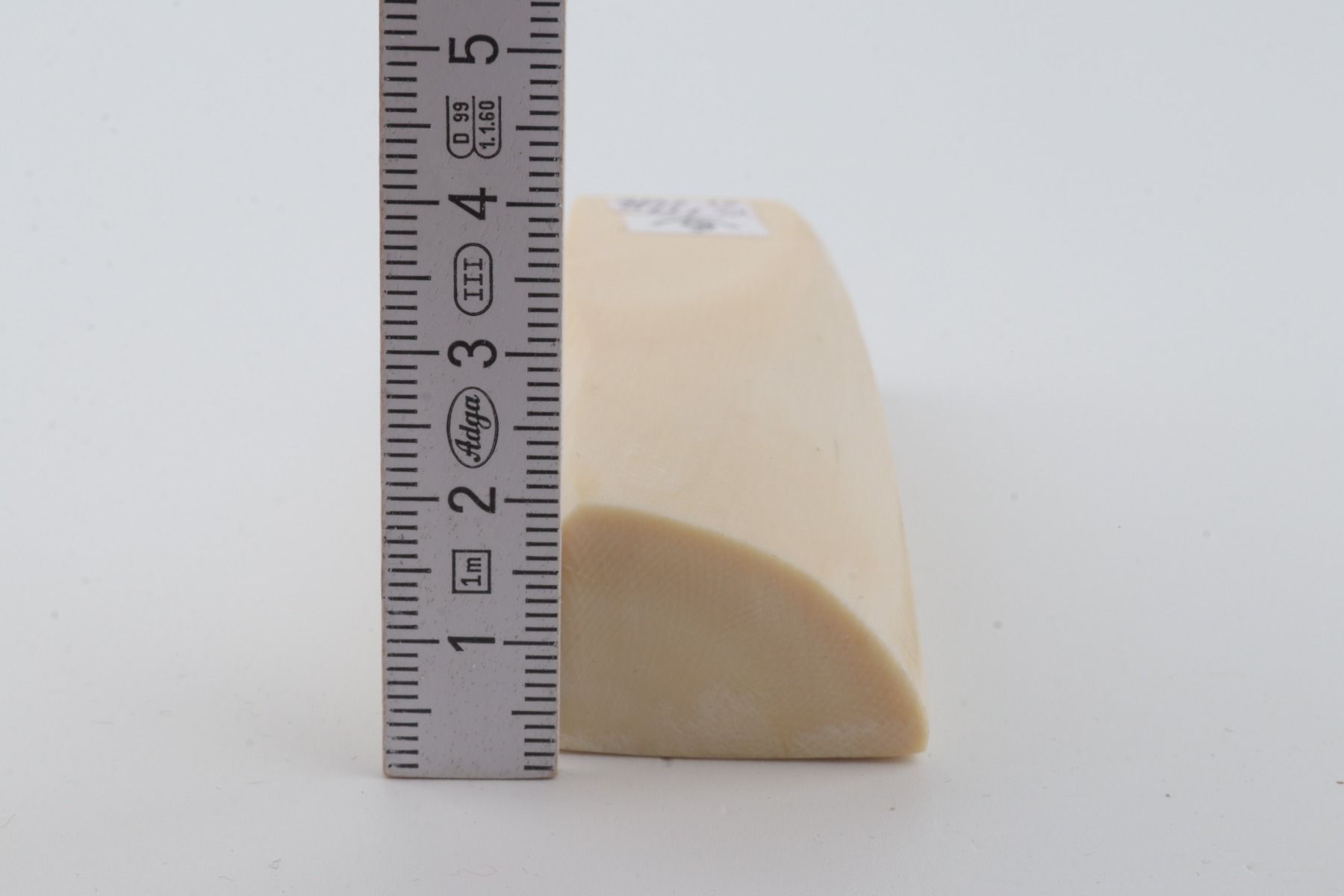 White mammoth ivory segment