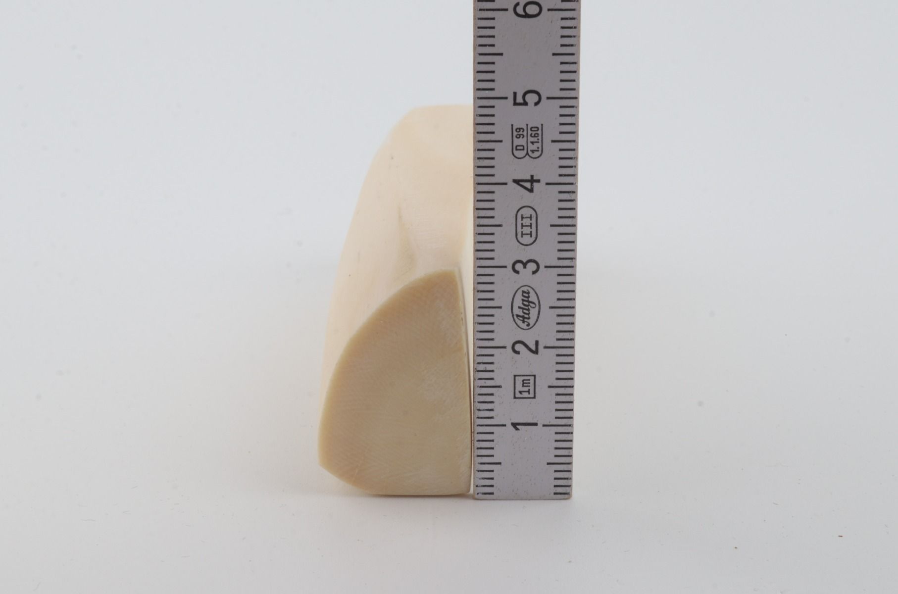 White mammoth ivory segment