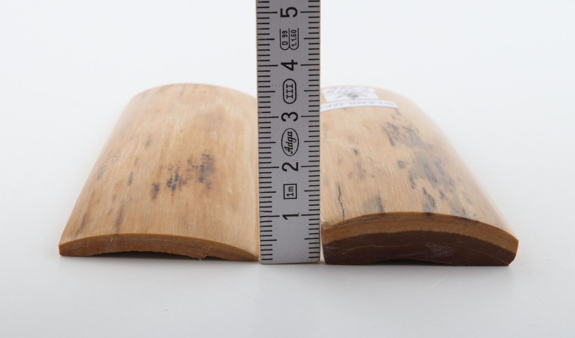 Stabilised mammoth bark scales