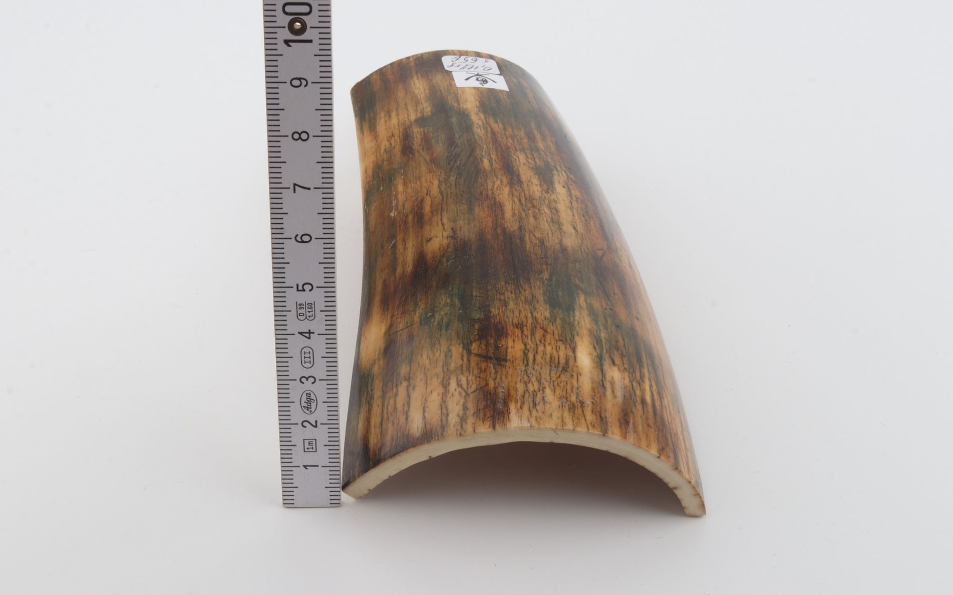 Natural mammoth bark