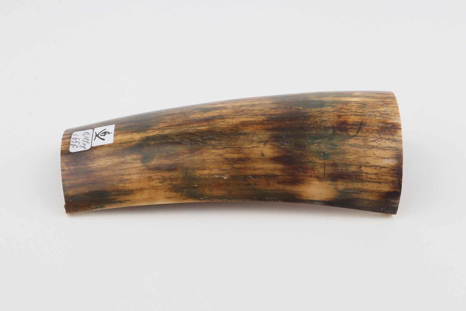 Natural mammoth bark