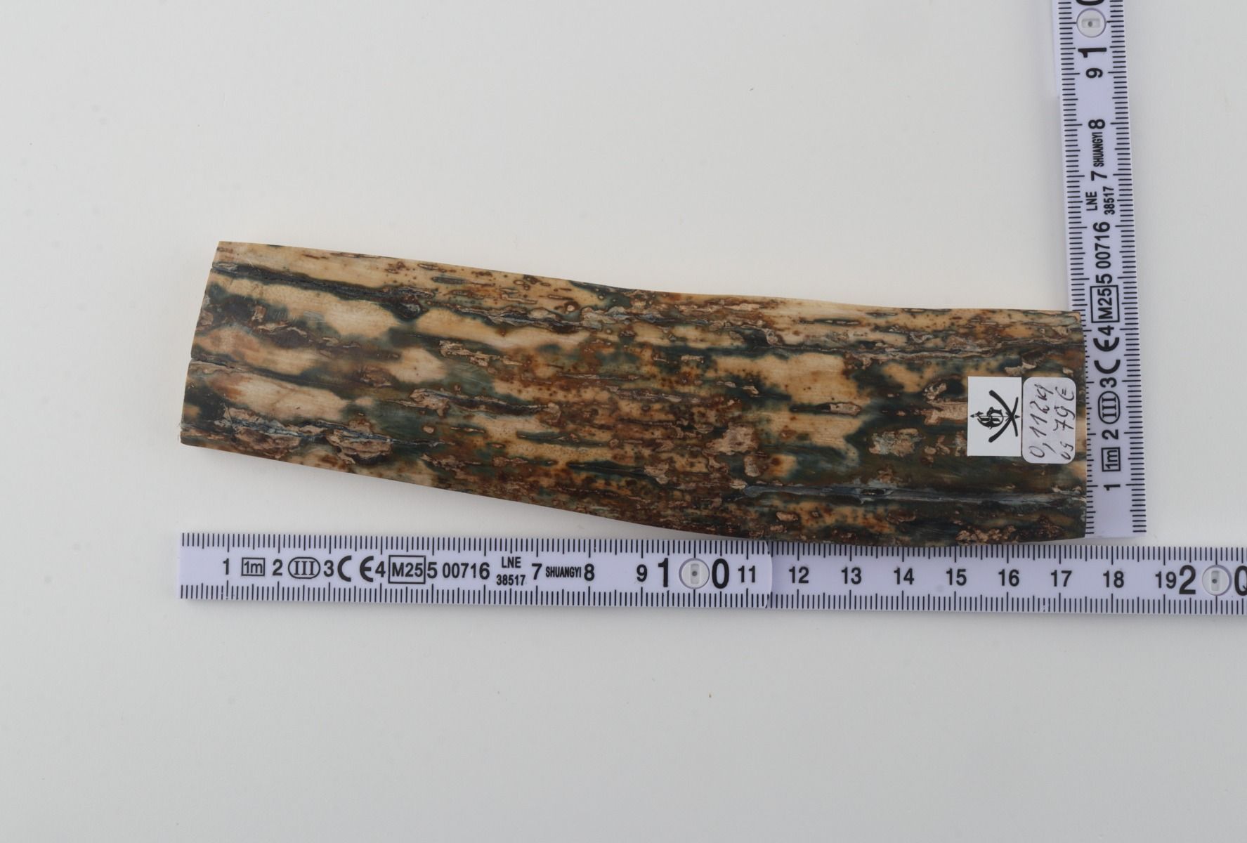 Natural woolly mammoth bark
