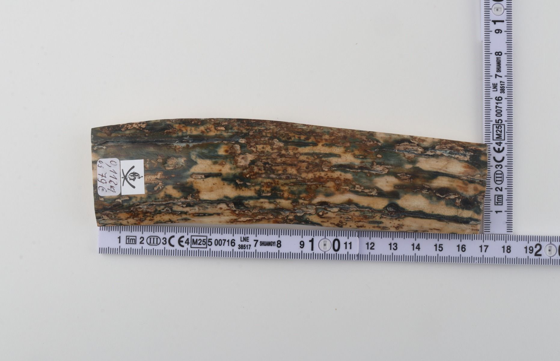 Natural woolly mammoth bark
