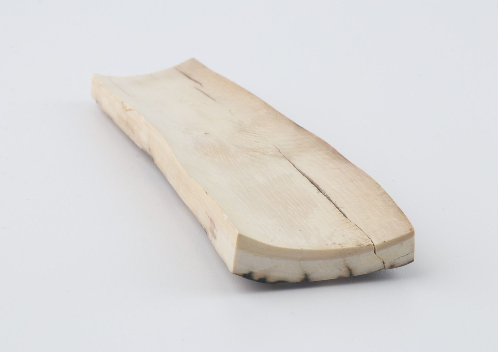 Natural woolly mammoth bark