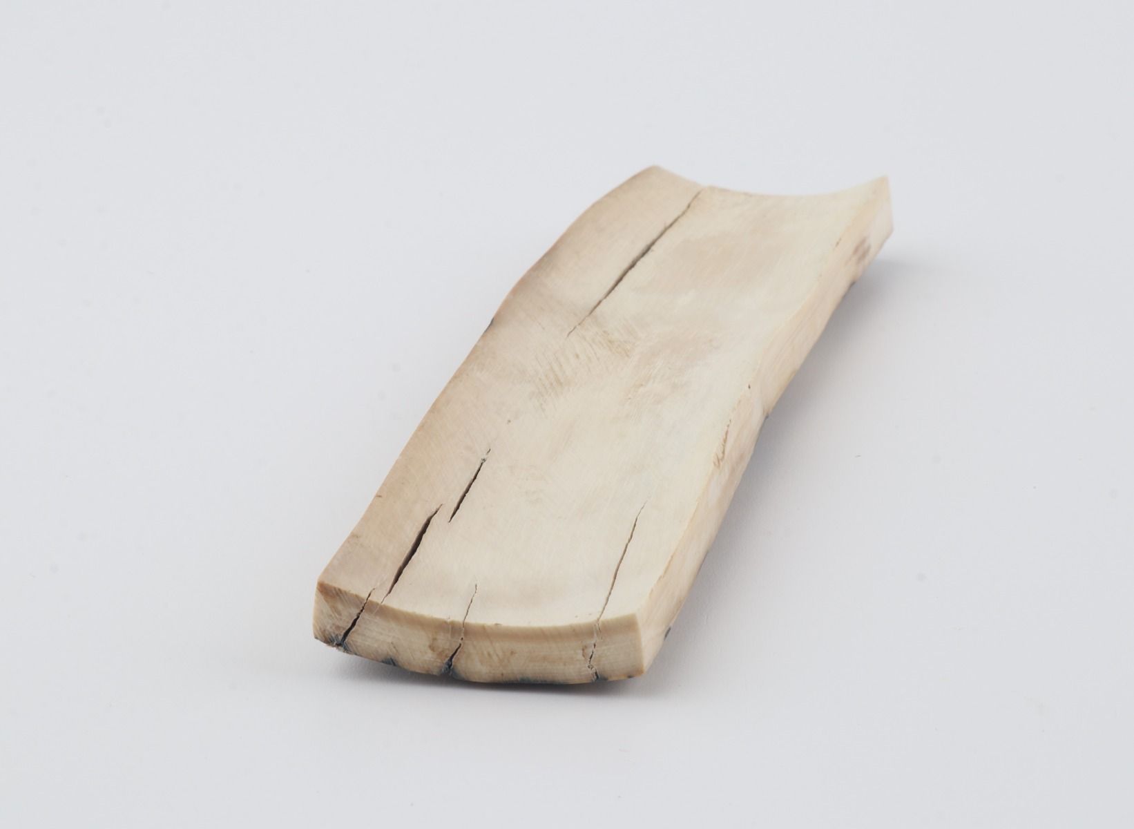 Natural woolly mammoth bark
