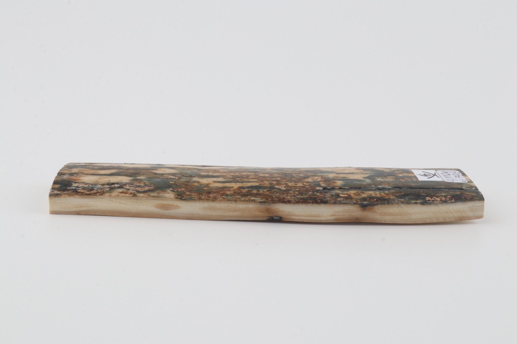 Natural woolly mammoth bark
