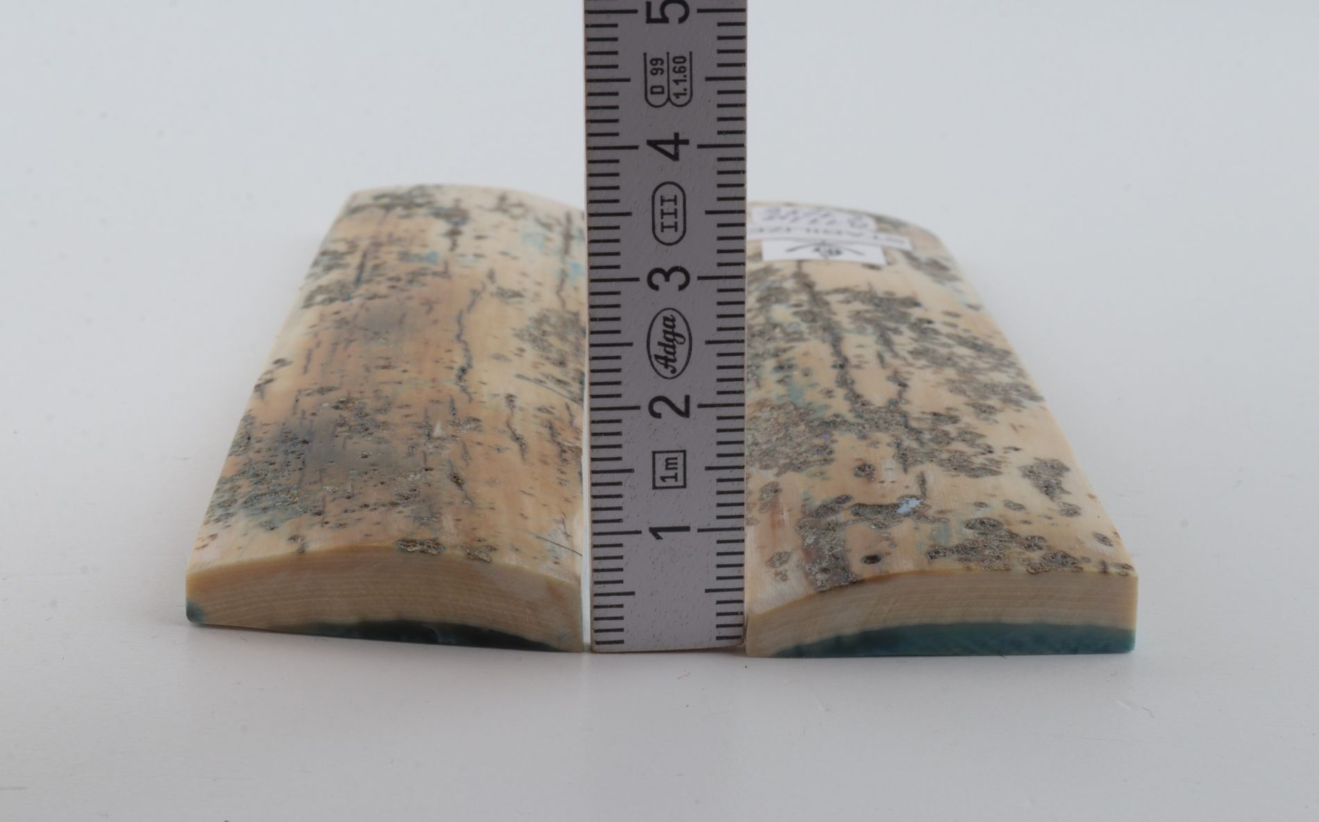 Stabilized mammoth bark scales
