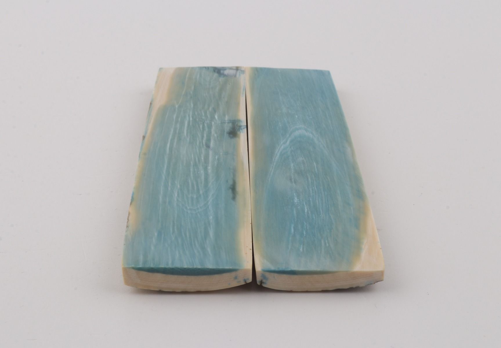 Stabilized mammoth bark scales