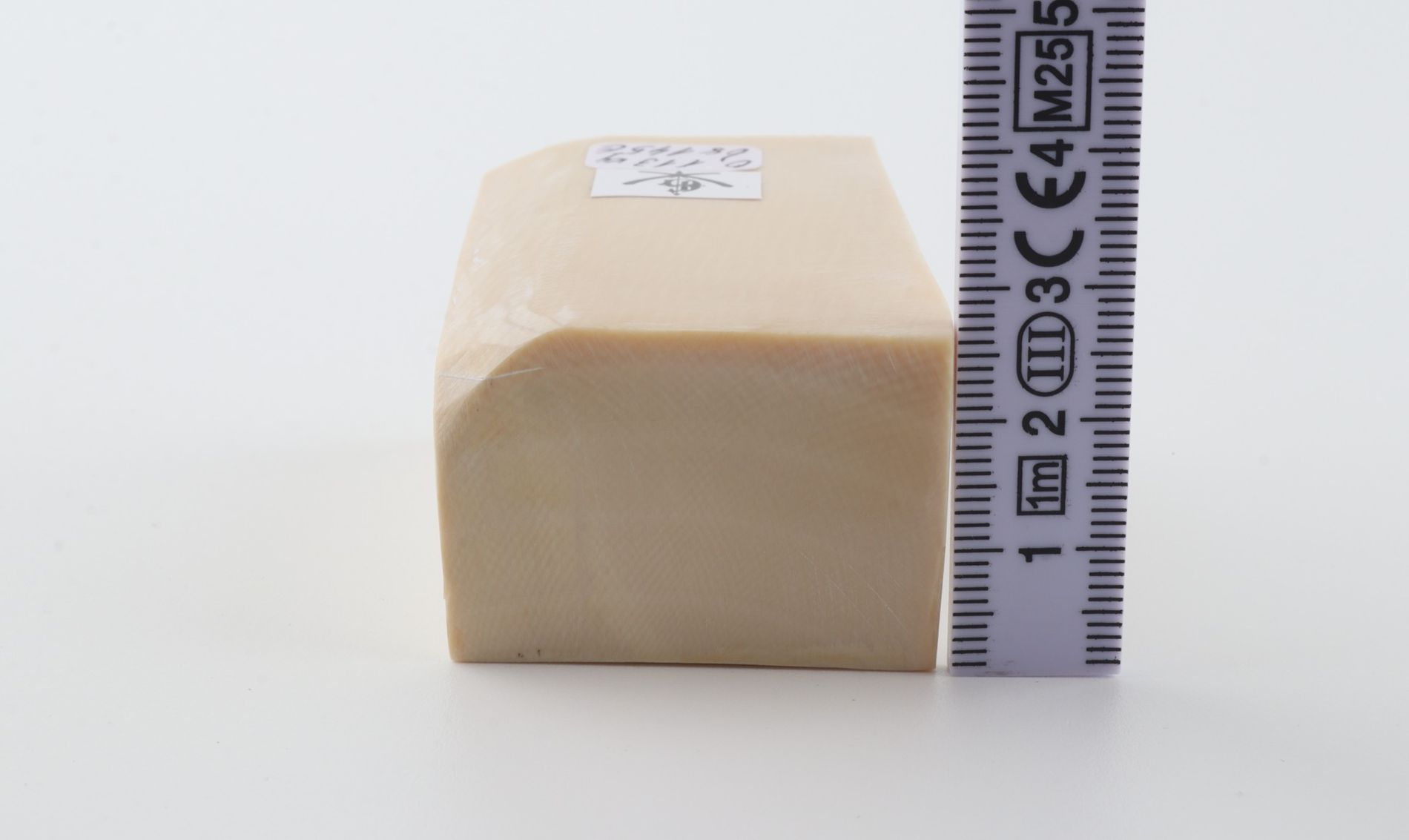 White mammoth ivory segment