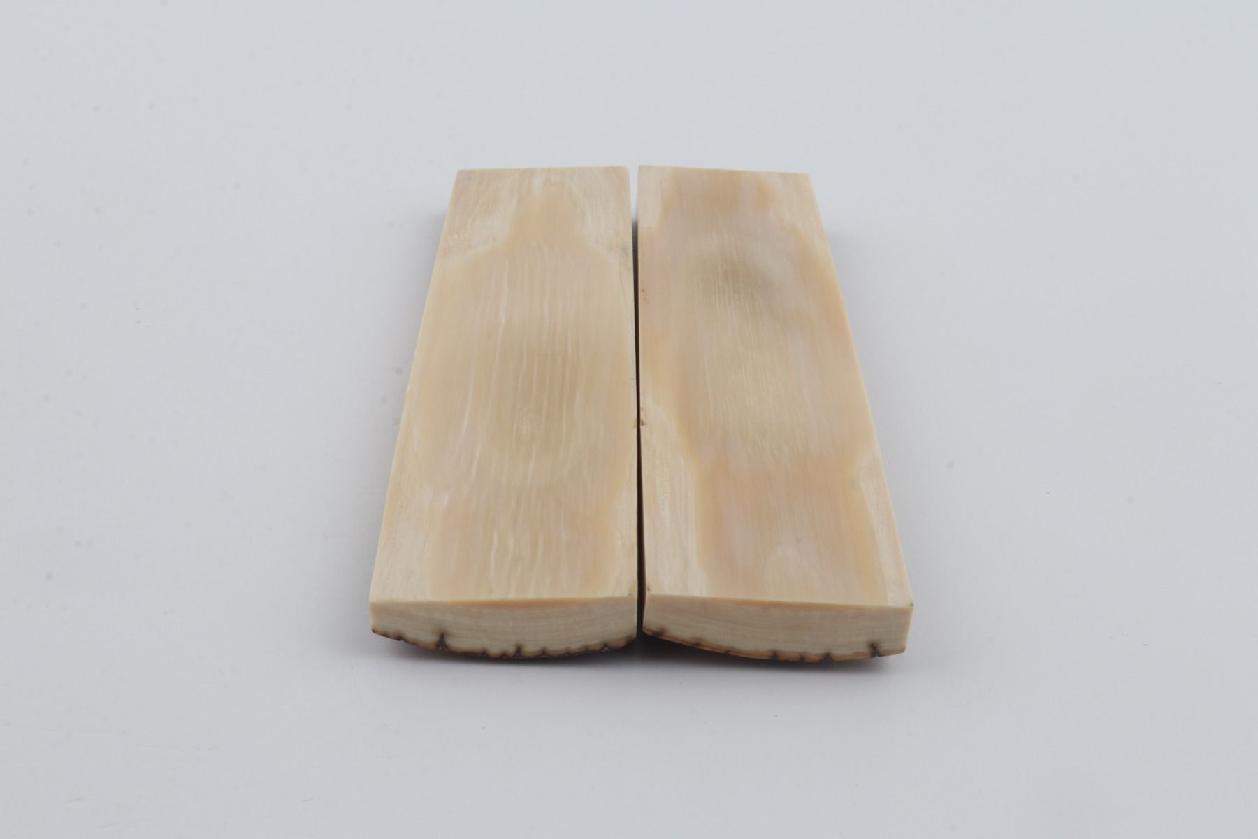 Natural mammoth bark scales